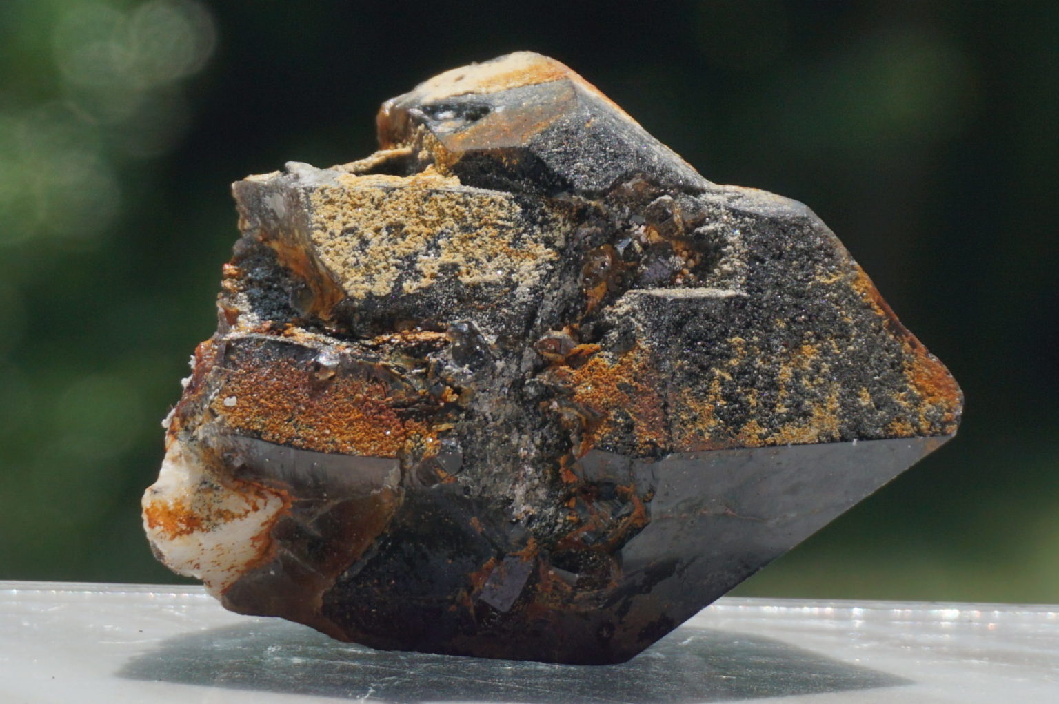 nakatsugawa-smokey85