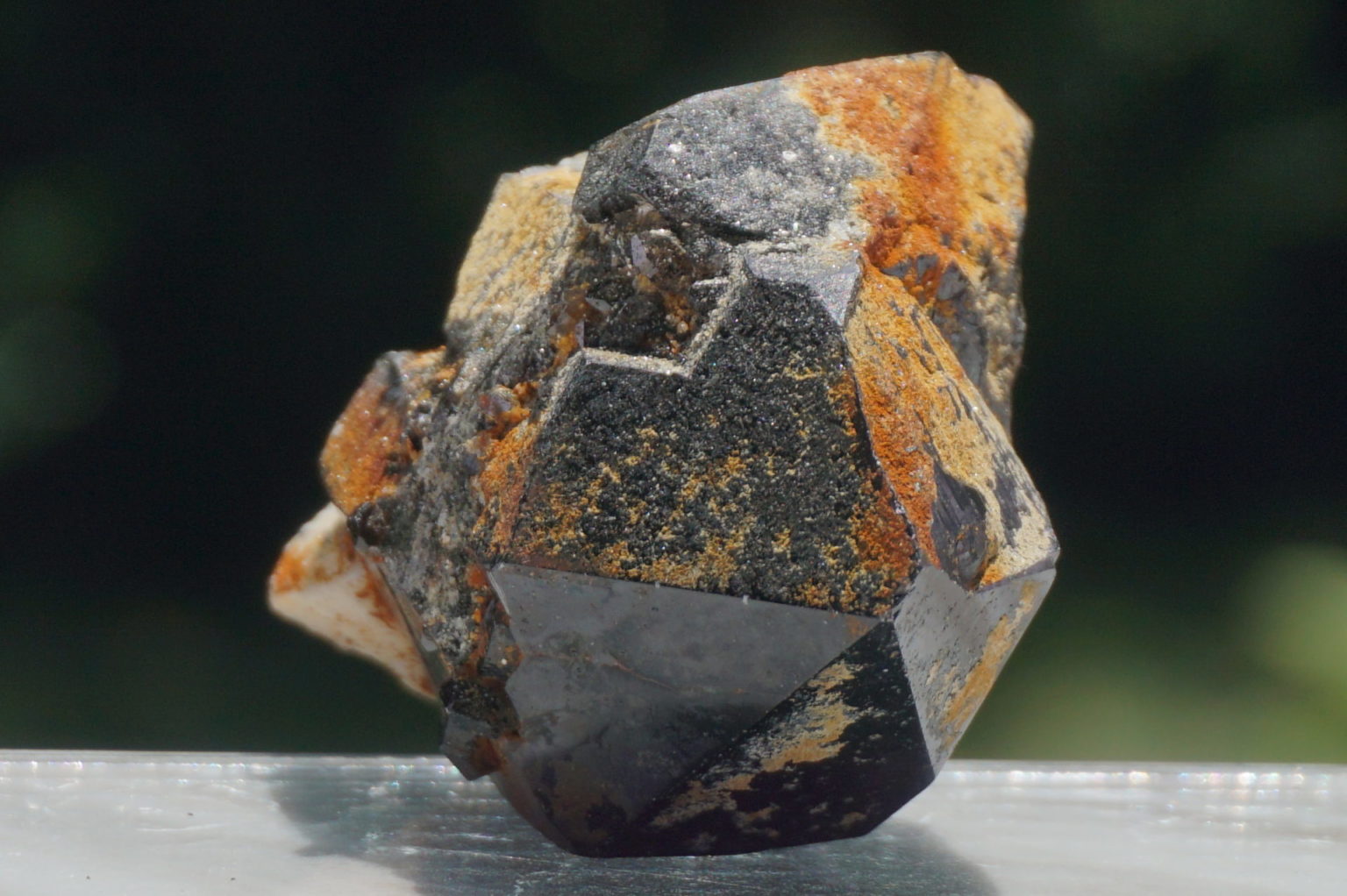 nakatsugawa-smokey85