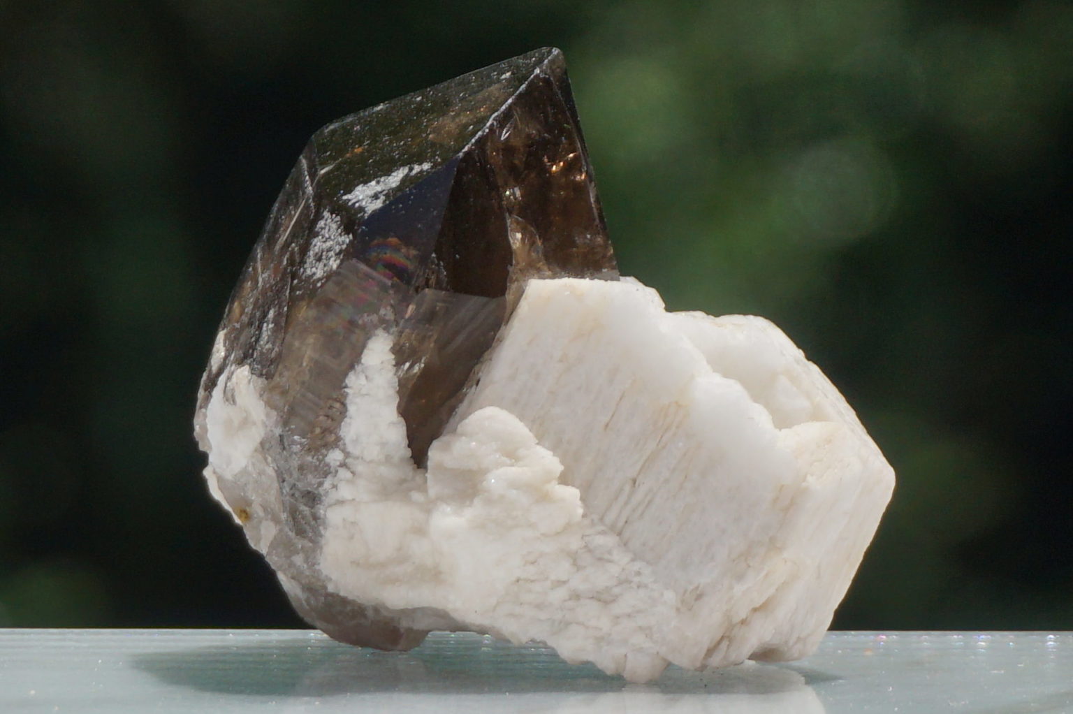 nakatsugawa-smokey86