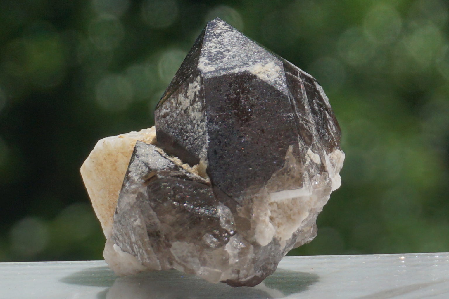 nakatsugawa-smokey86