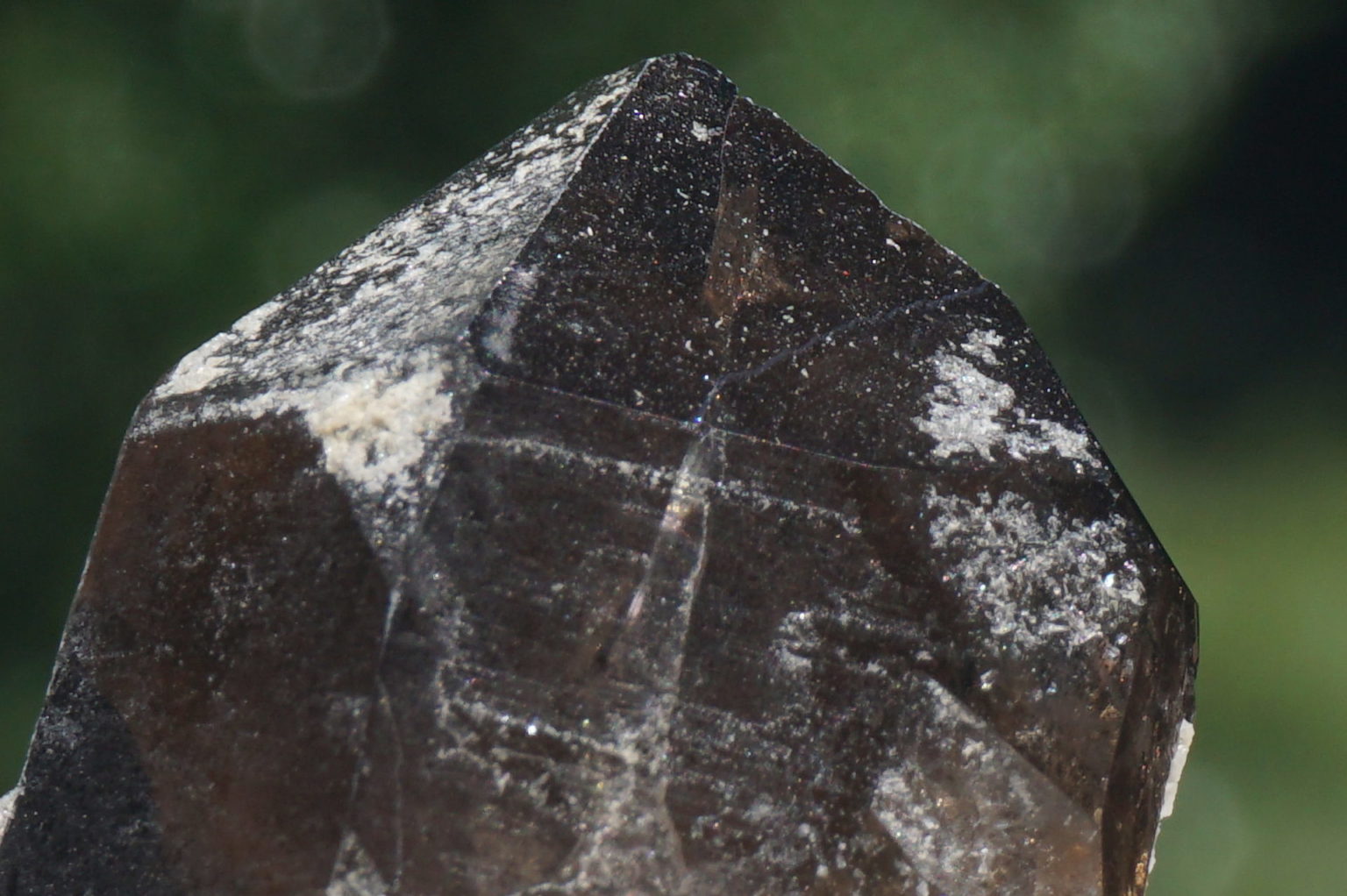 nakatsugawa-smokey86