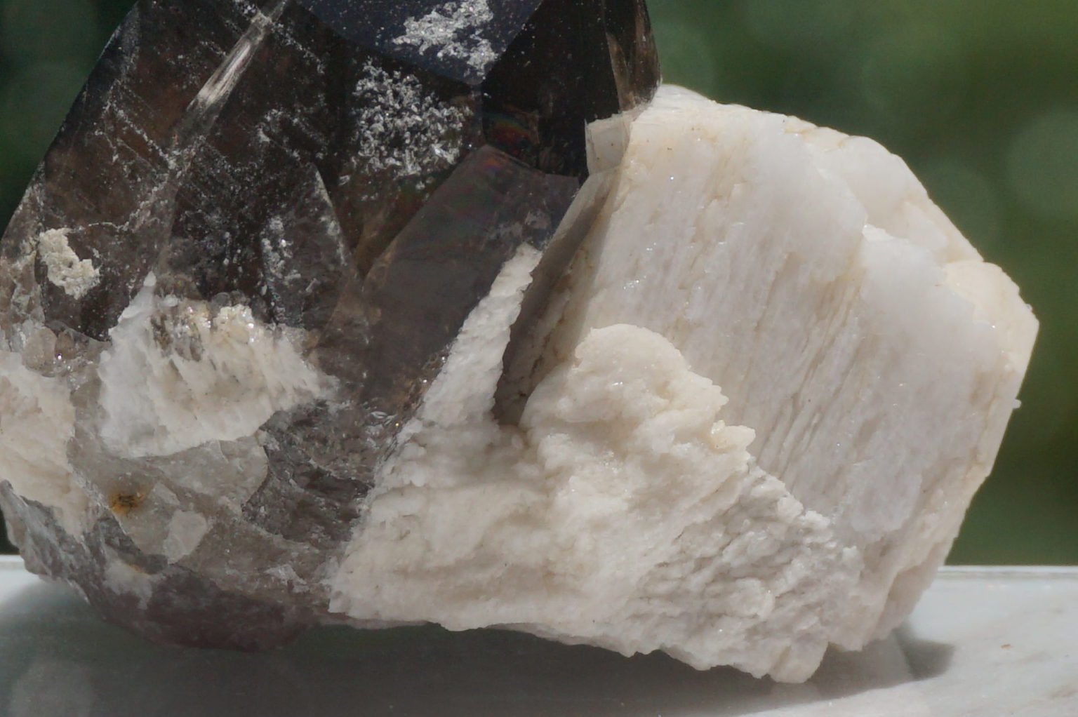 nakatsugawa-smokey86