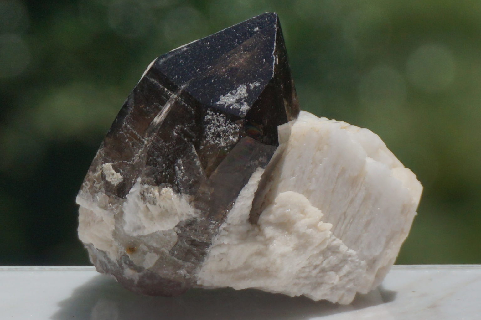 nakatsugawa-smokey86