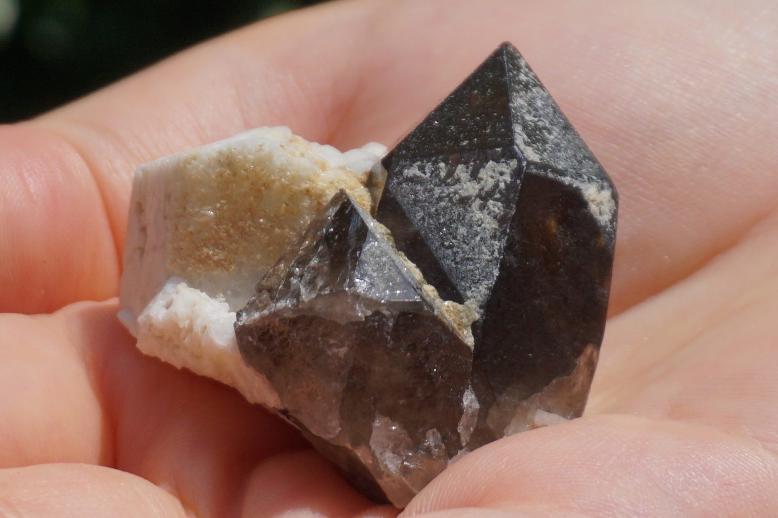 nakatsugawa-smokey86