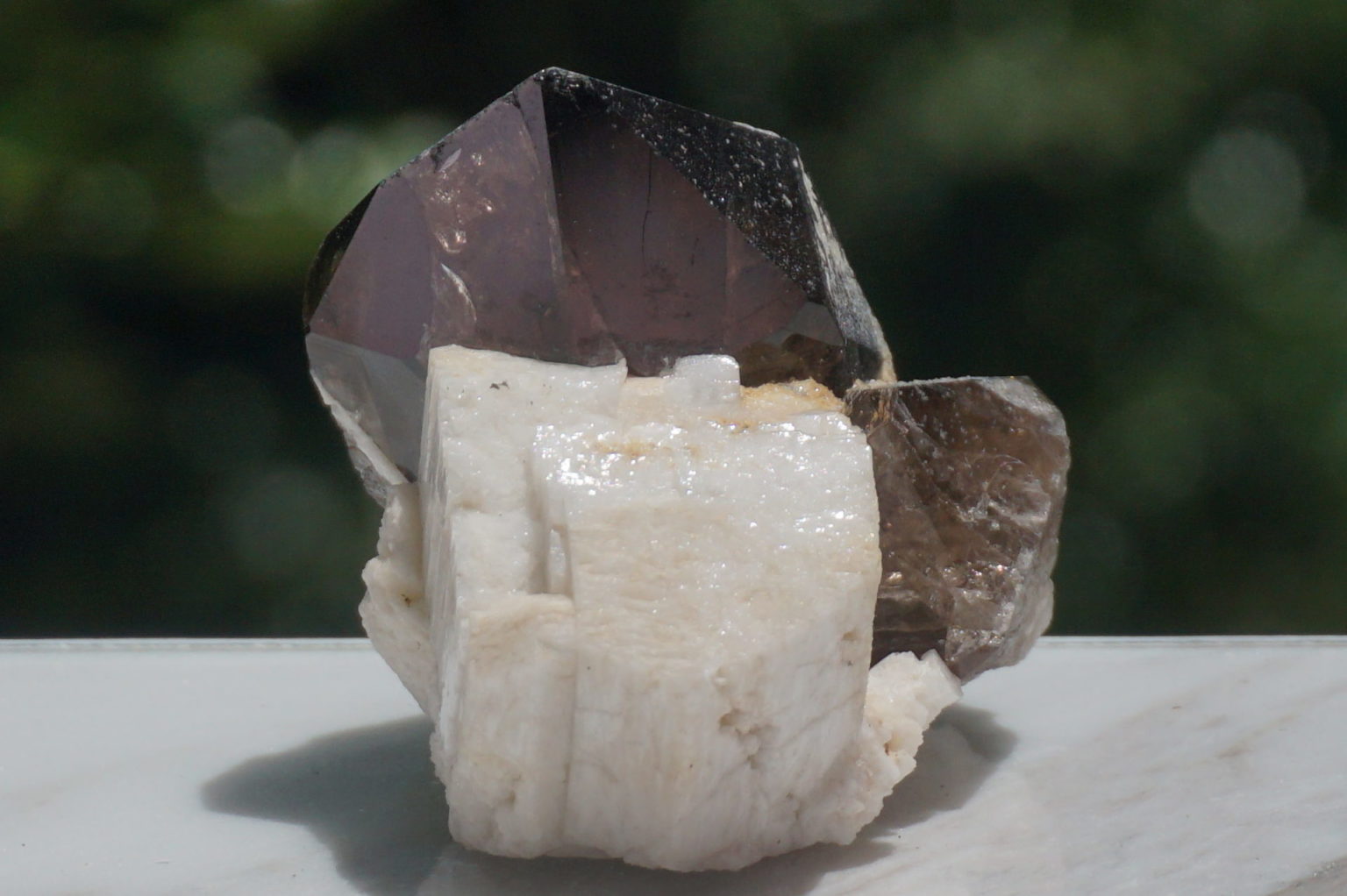 nakatsugawa-smokey86