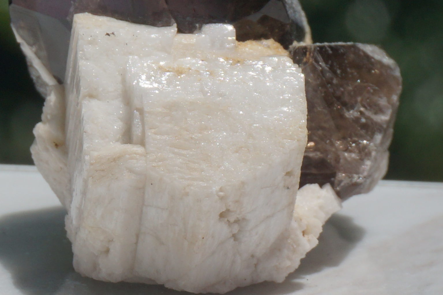 nakatsugawa-smokey86