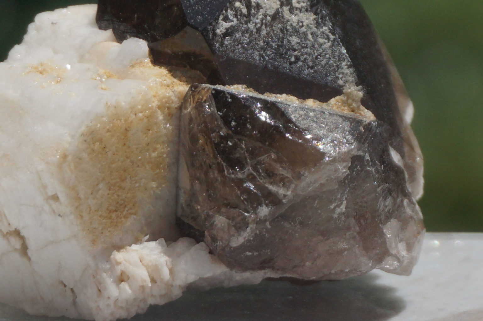 nakatsugawa-smokey86