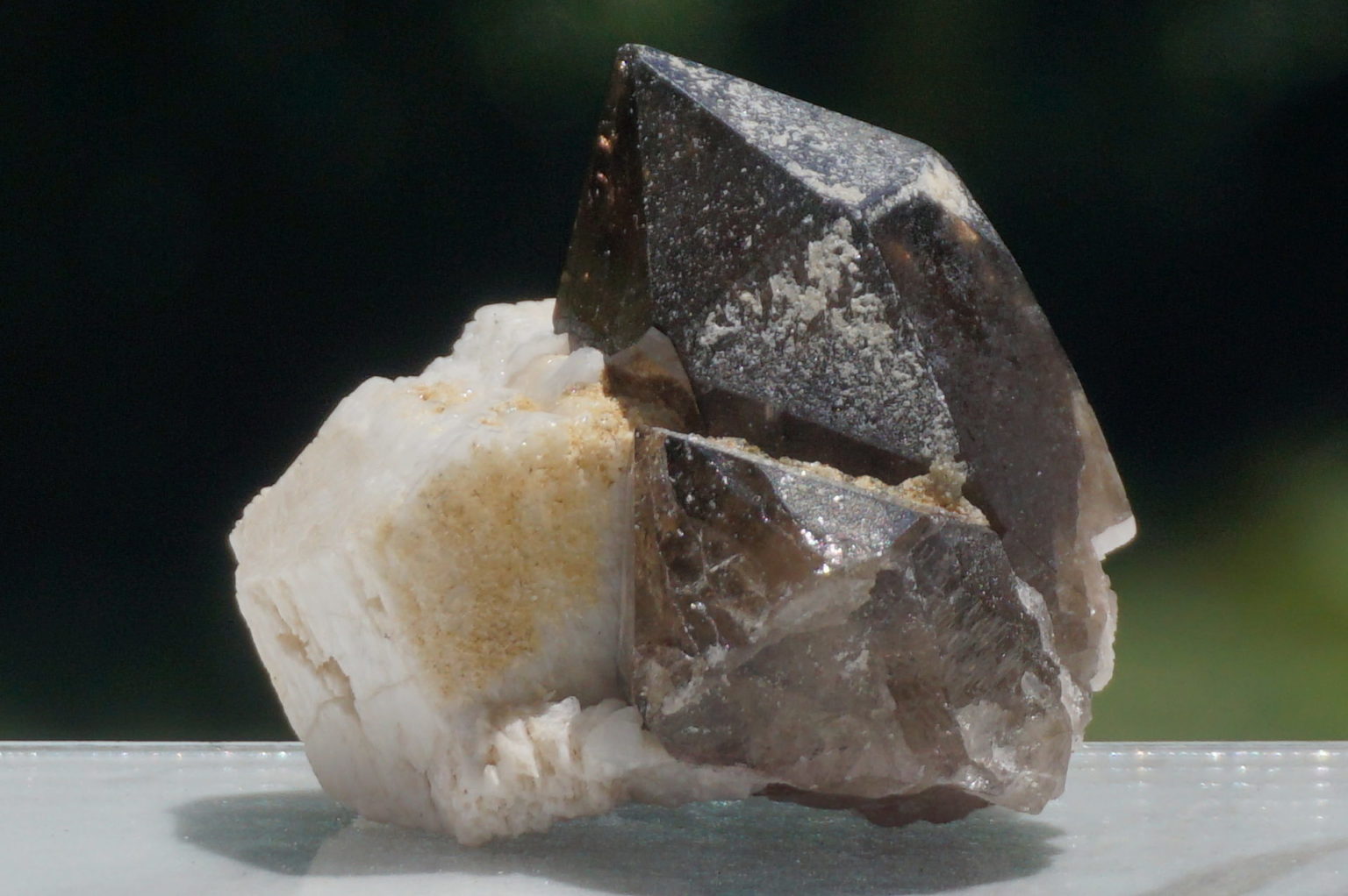 nakatsugawa-smokey86