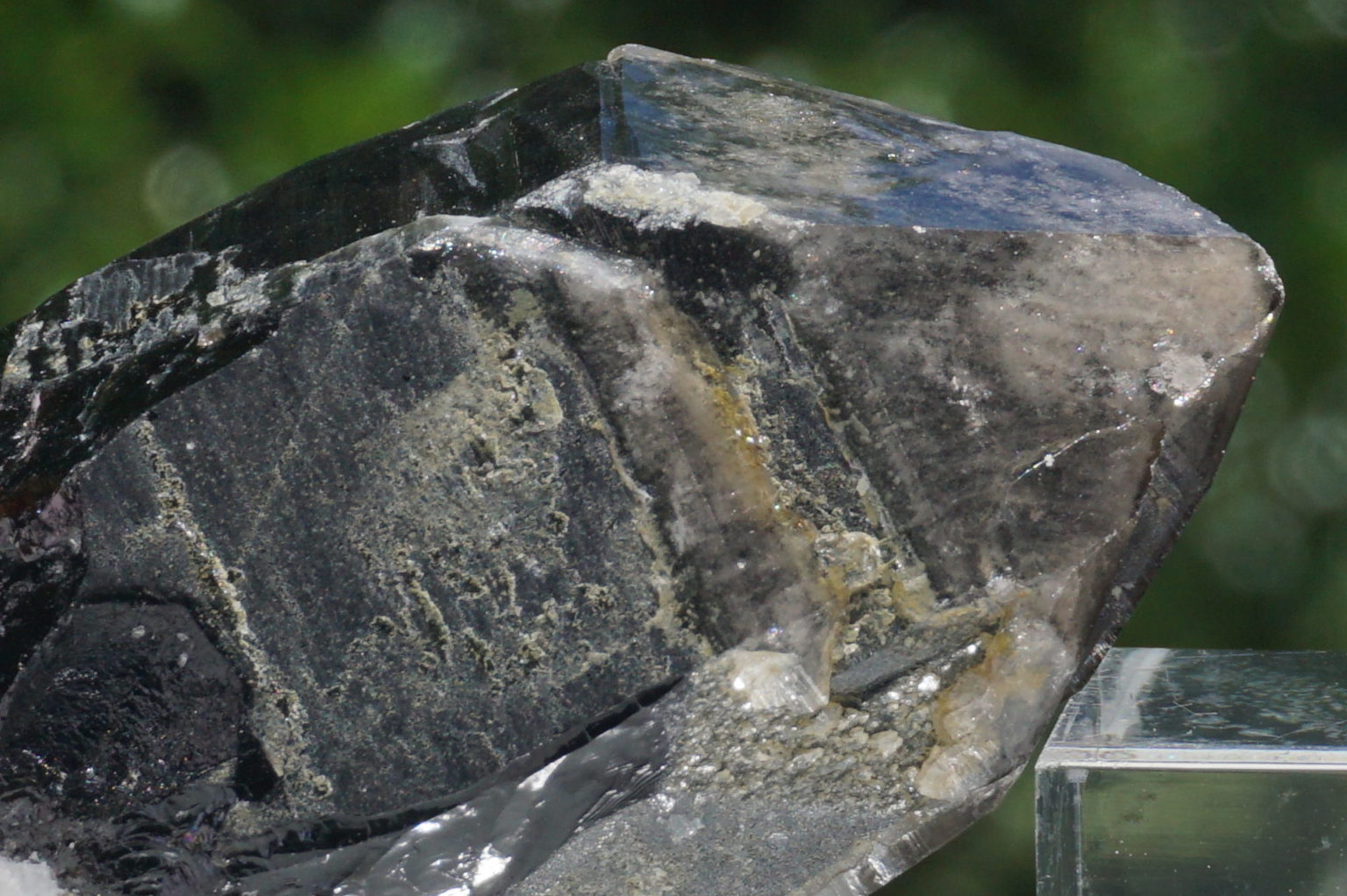 nakatsugawa-smokey87