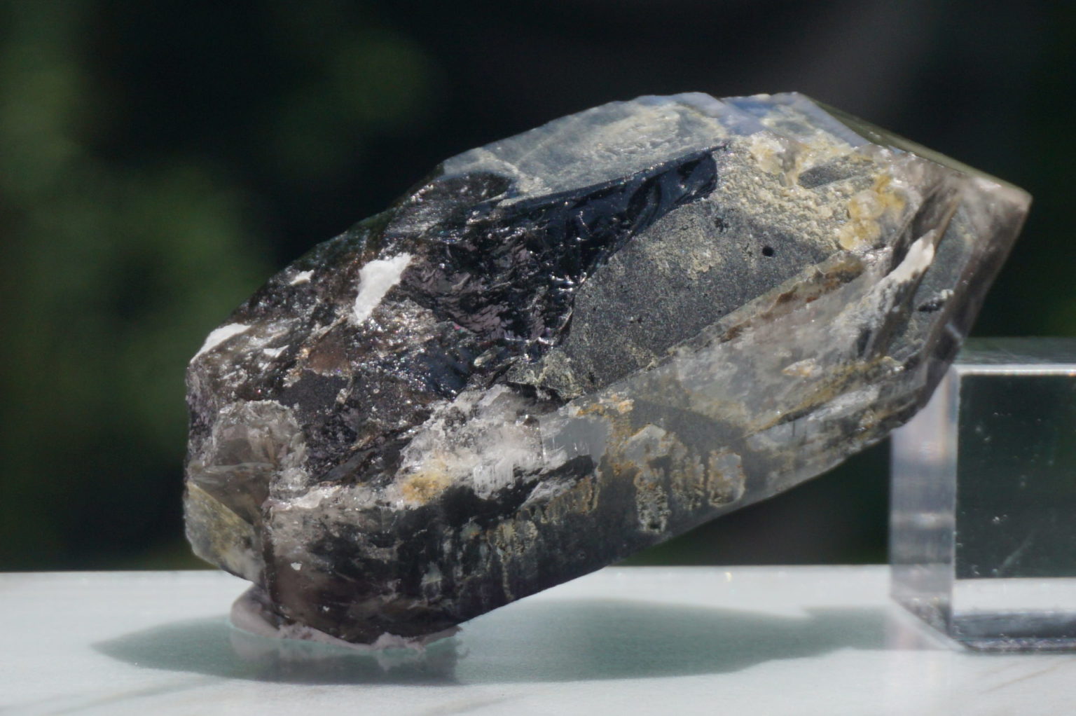 nakatsugawa-smokey87