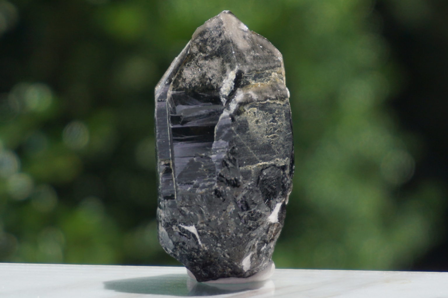 nakatsugawa-smokey87