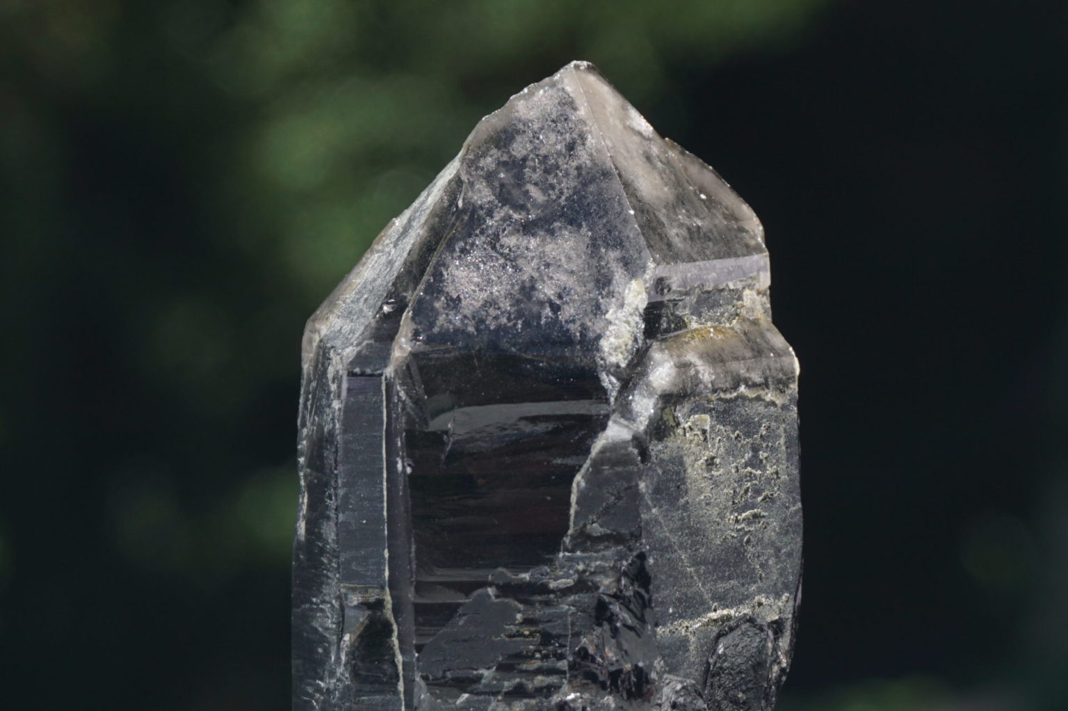 nakatsugawa-smokey87