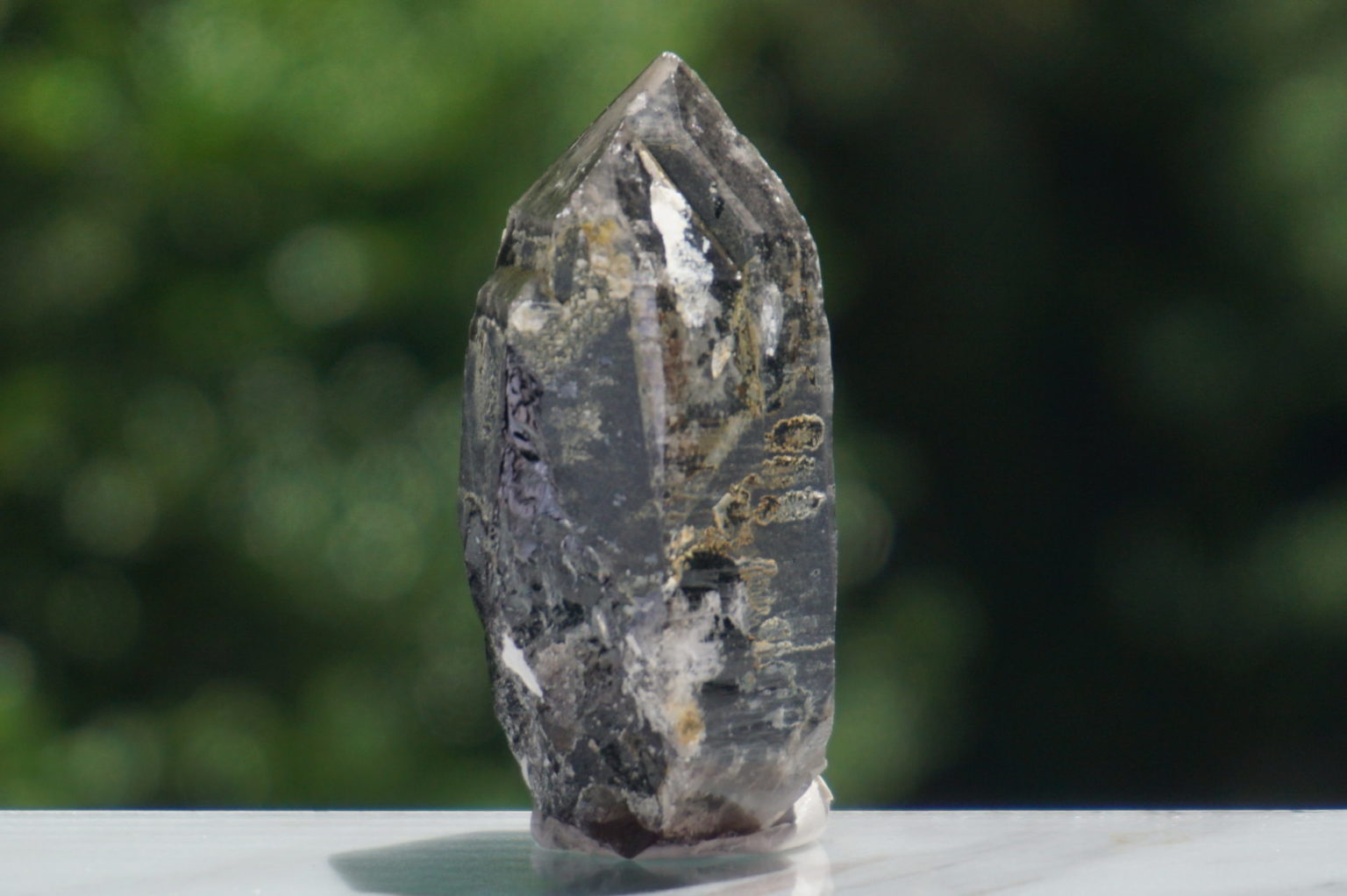 nakatsugawa-smokey87