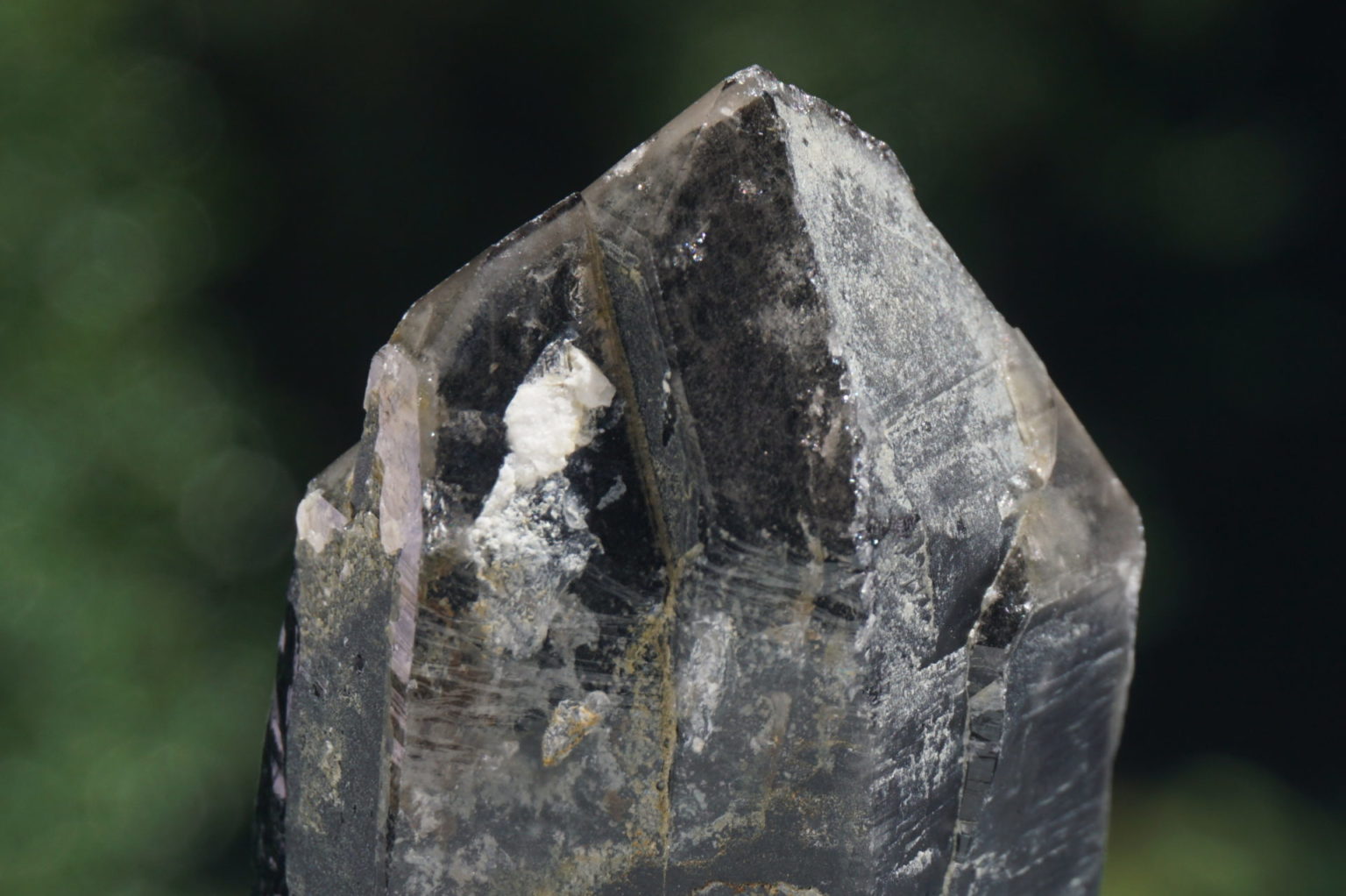 nakatsugawa-smokey87