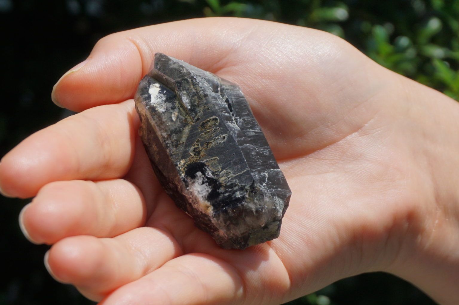 nakatsugawa-smokey87