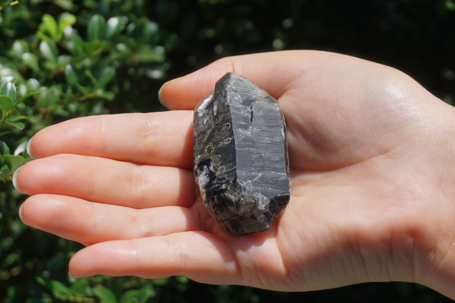 nakatsugawa-smokey87