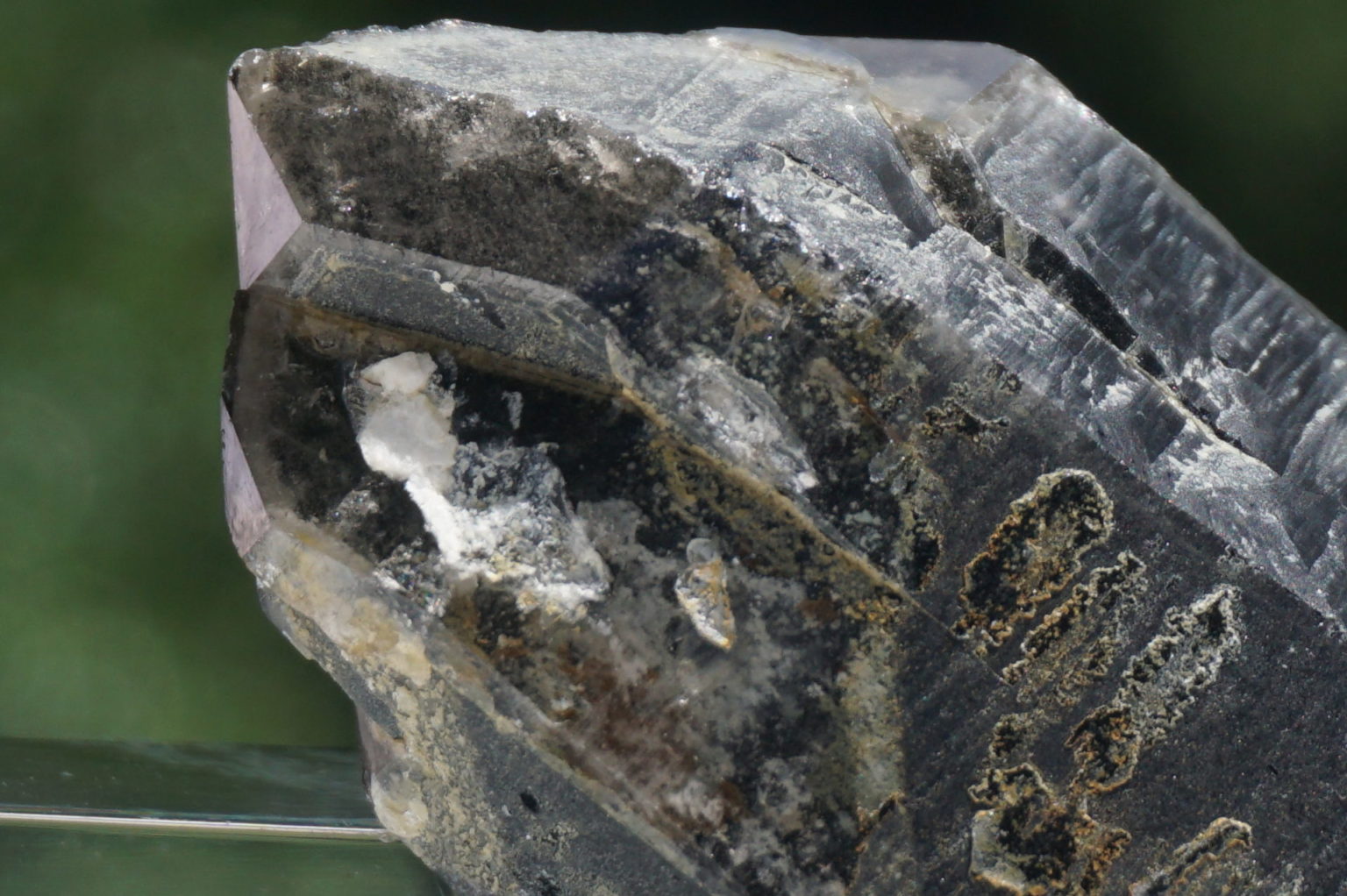 nakatsugawa-smokey87