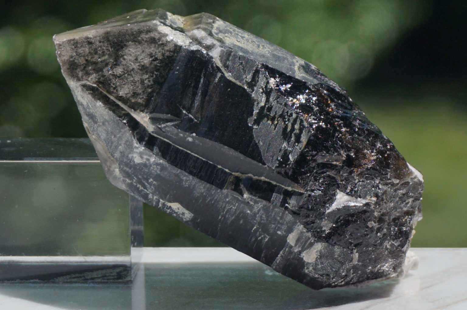 nakatsugawa-smokey87