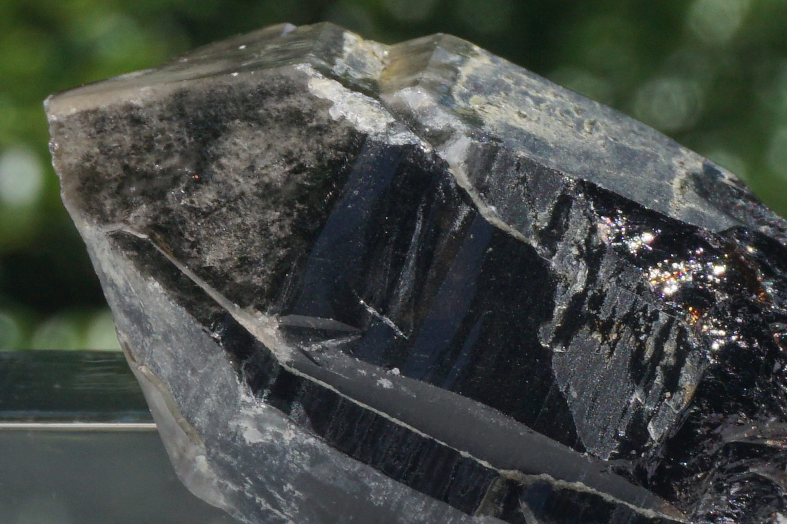 nakatsugawa-smokey87