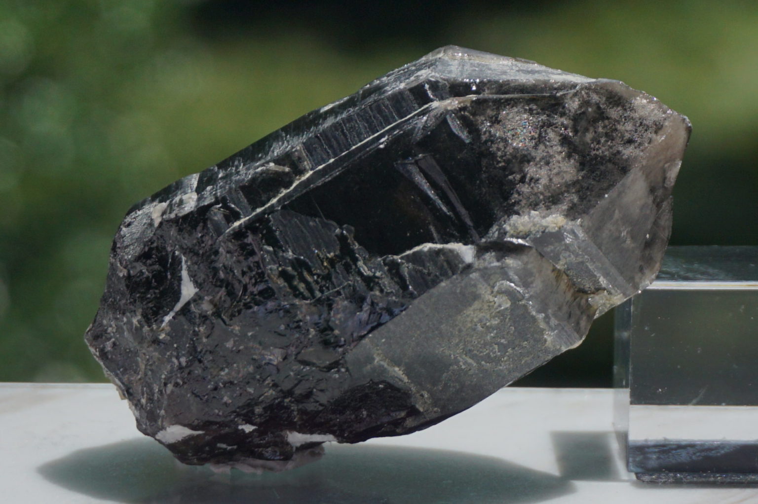 nakatsugawa-smokey87