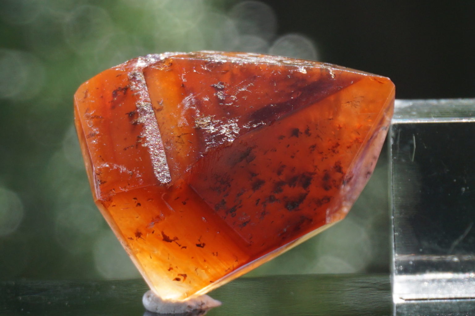 red-dream-coat-lemurian-polish07