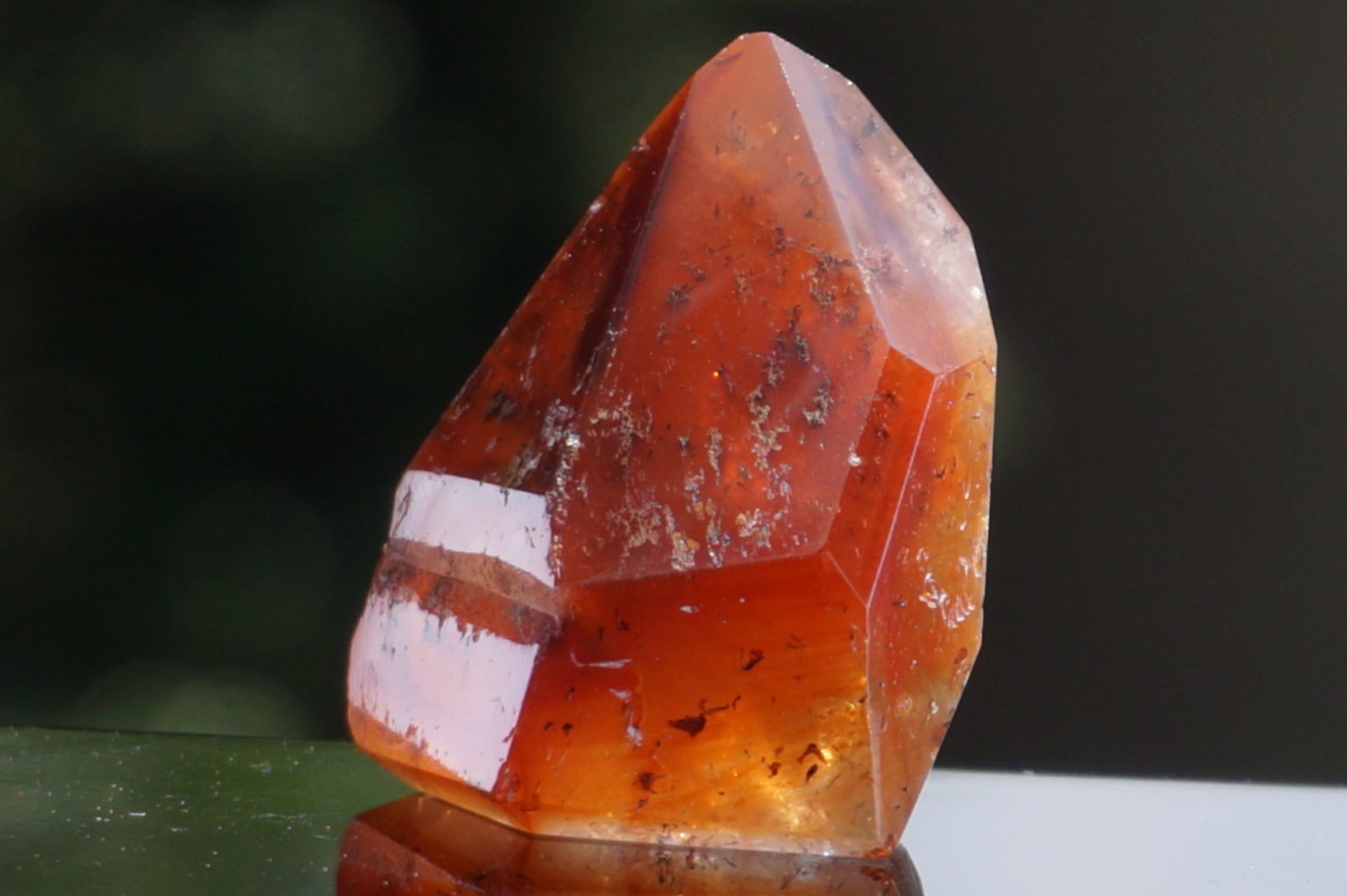 red-dream-coat-lemurian-polish07