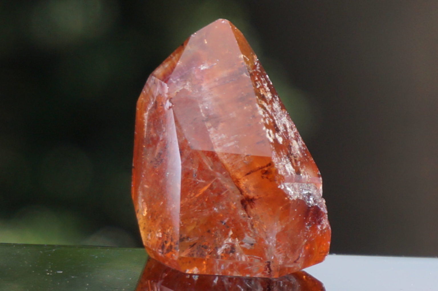 red-dream-coat-lemurian-polish07