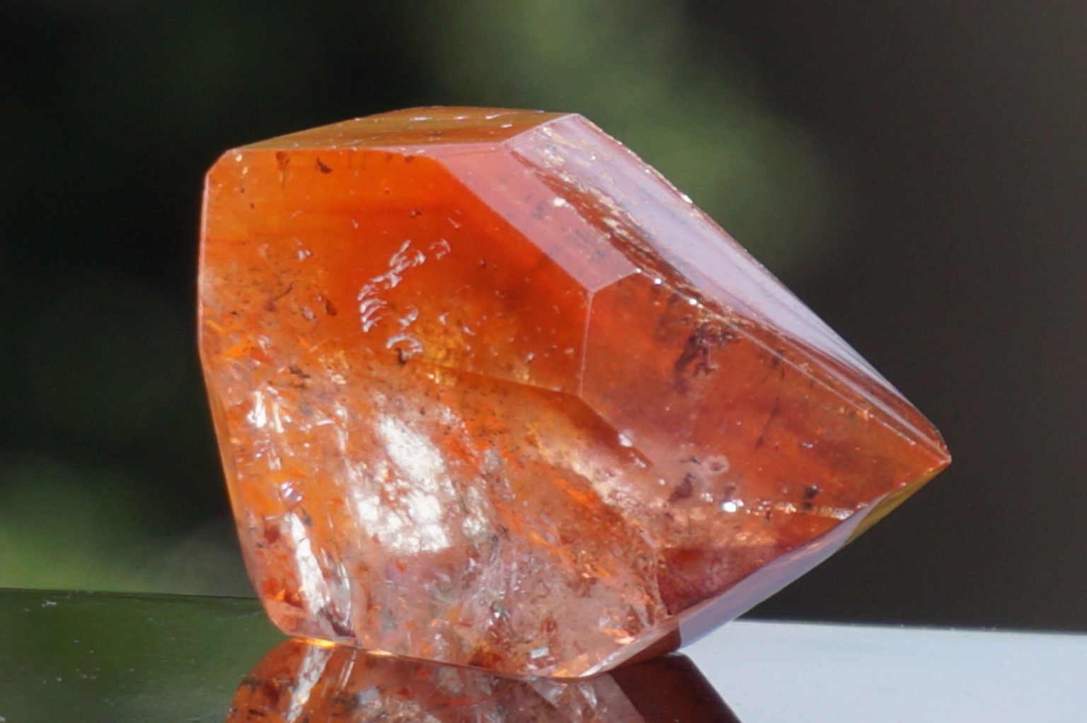 red-dream-coat-lemurian-polish07