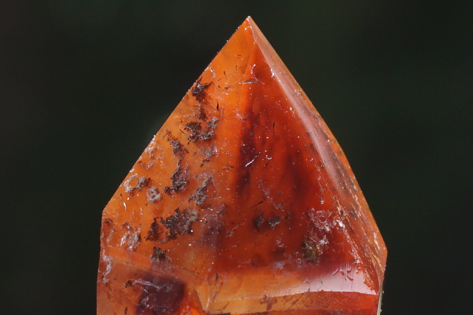 red-dream-coat-lemurian-polish07