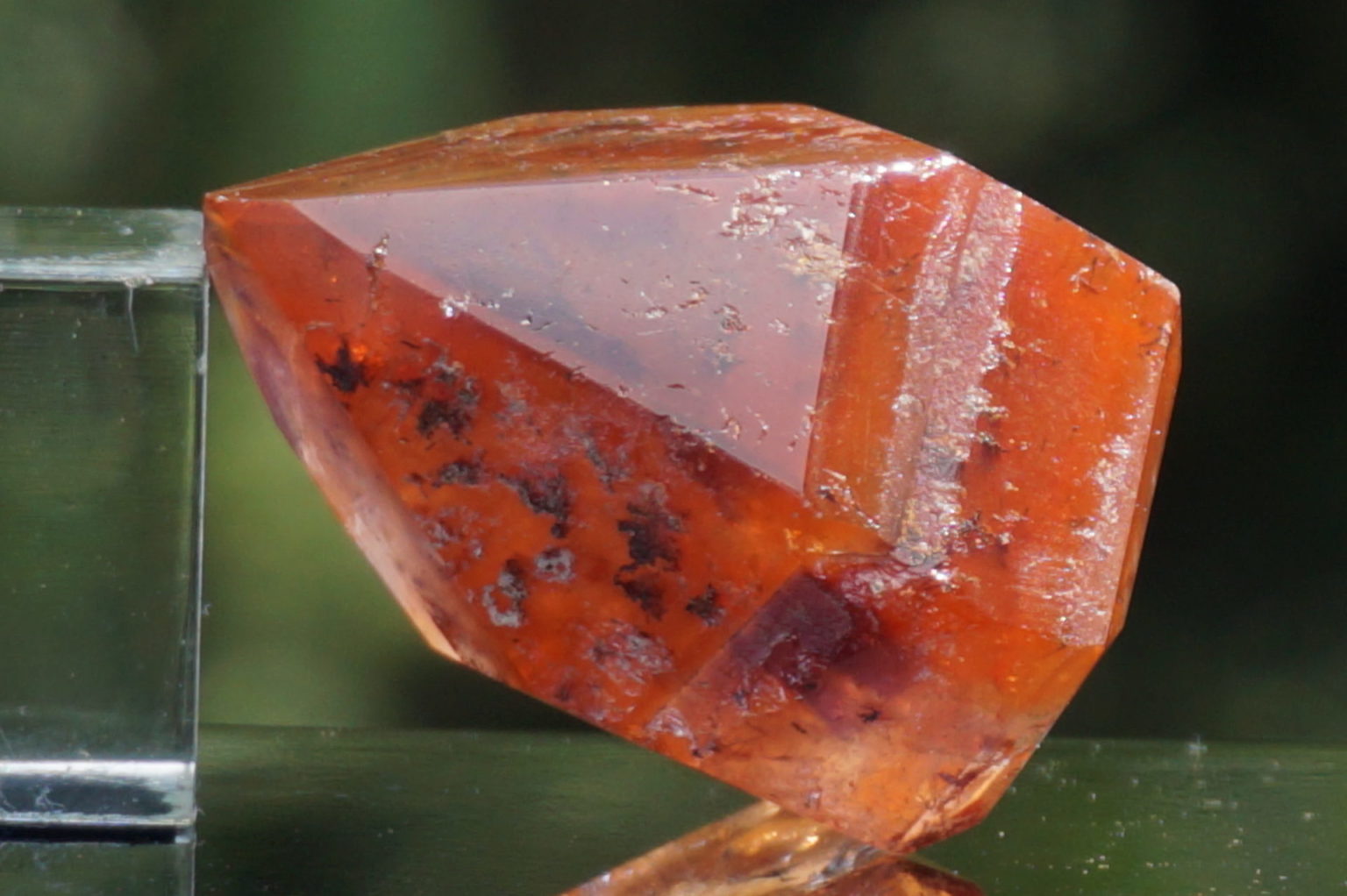 red-dream-coat-lemurian-polish07