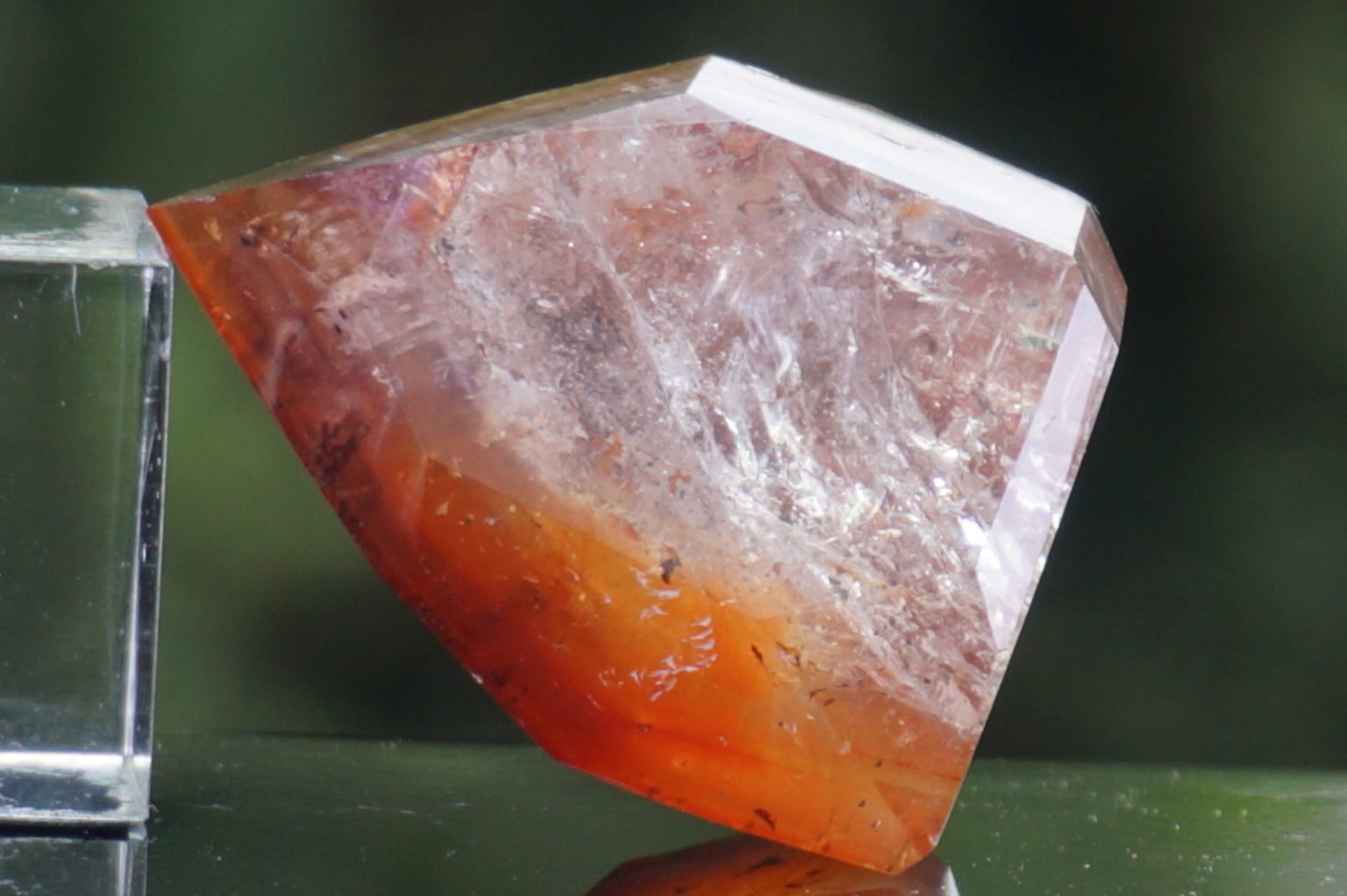 red-dream-coat-lemurian-polish07
