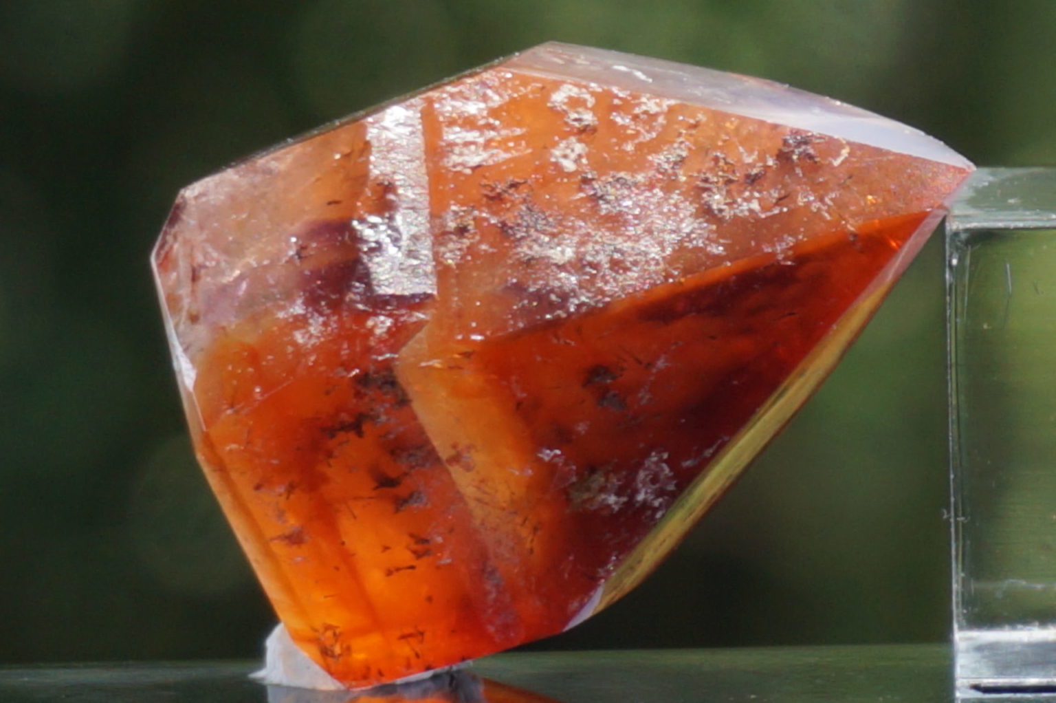 red-dream-coat-lemurian-polish07