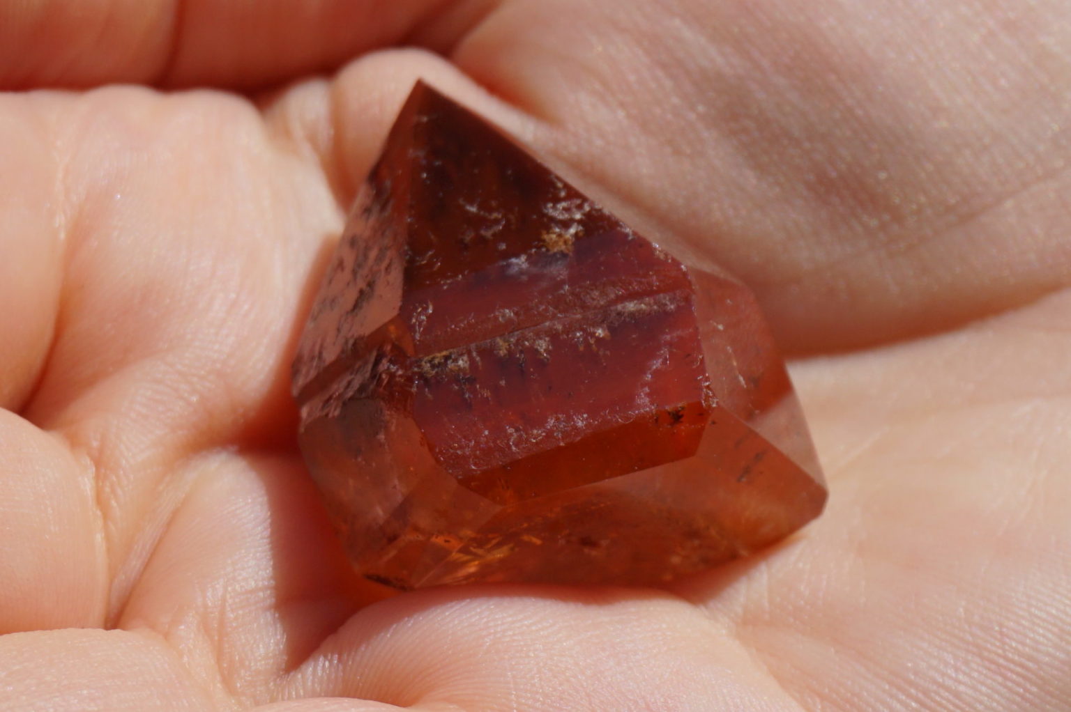 red-dream-coat-lemurian-polish07