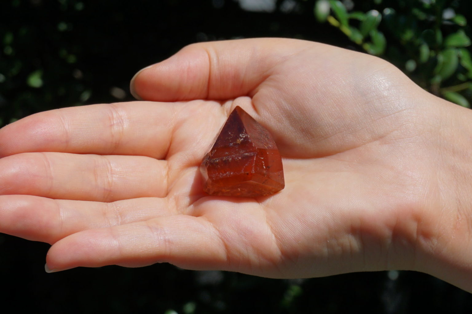 red-dream-coat-lemurian-polish07