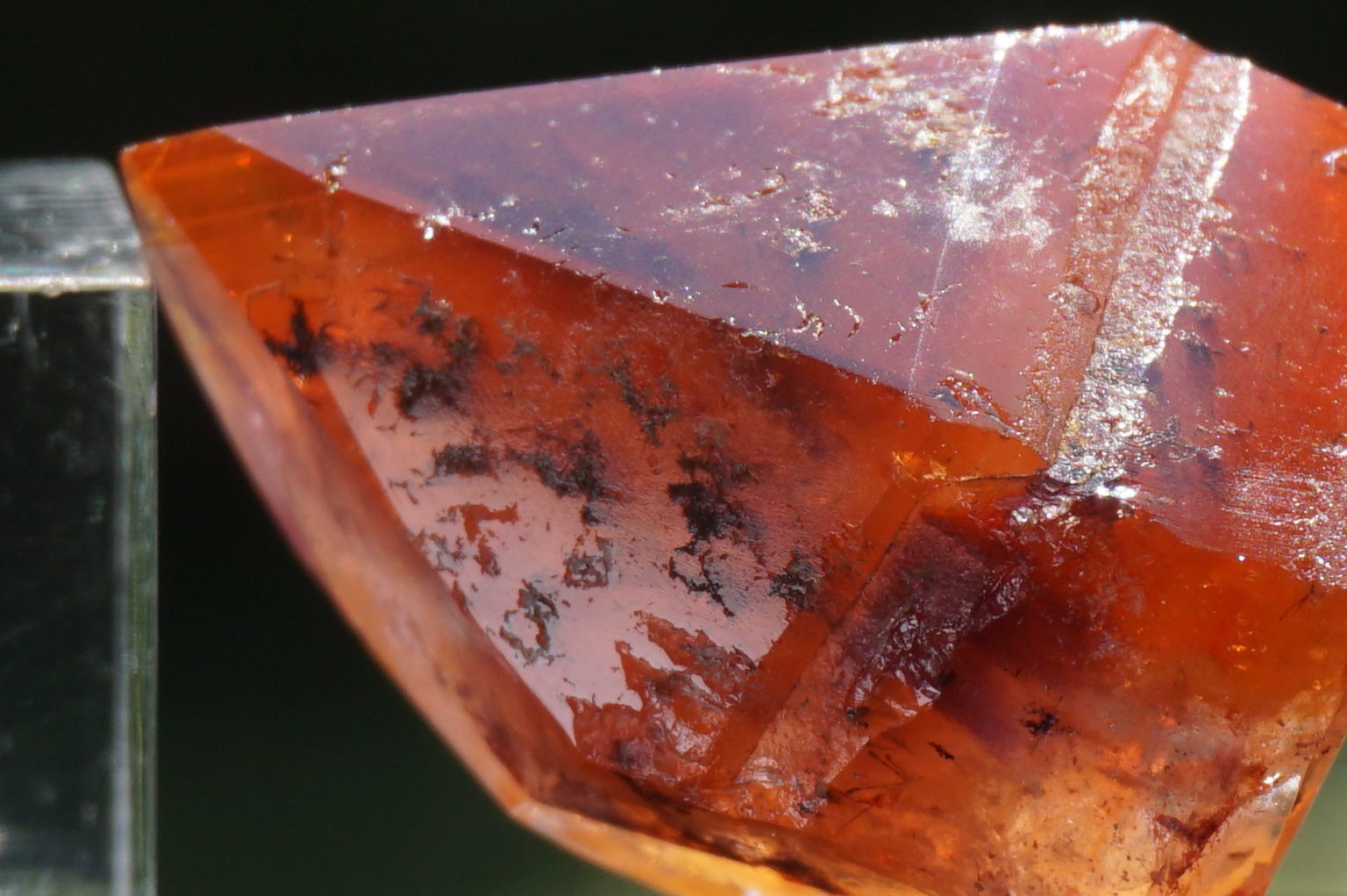 red-dream-coat-lemurian-polish07