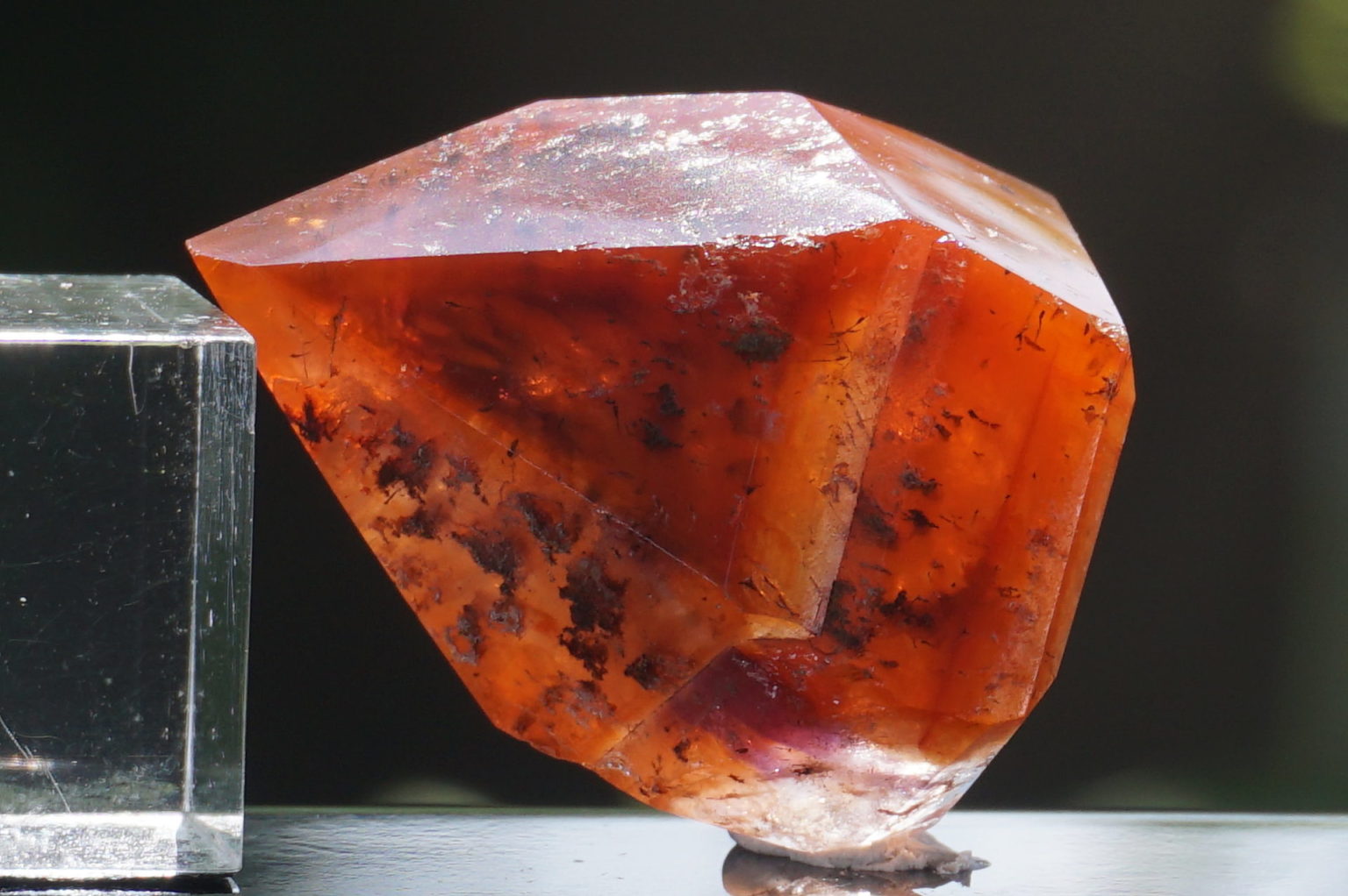 red-dream-coat-lemurian-polish07