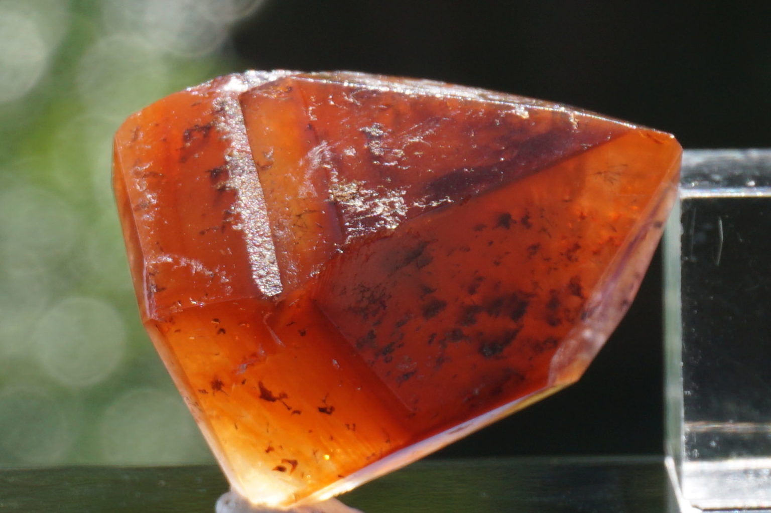 red-dream-coat-lemurian-polish07