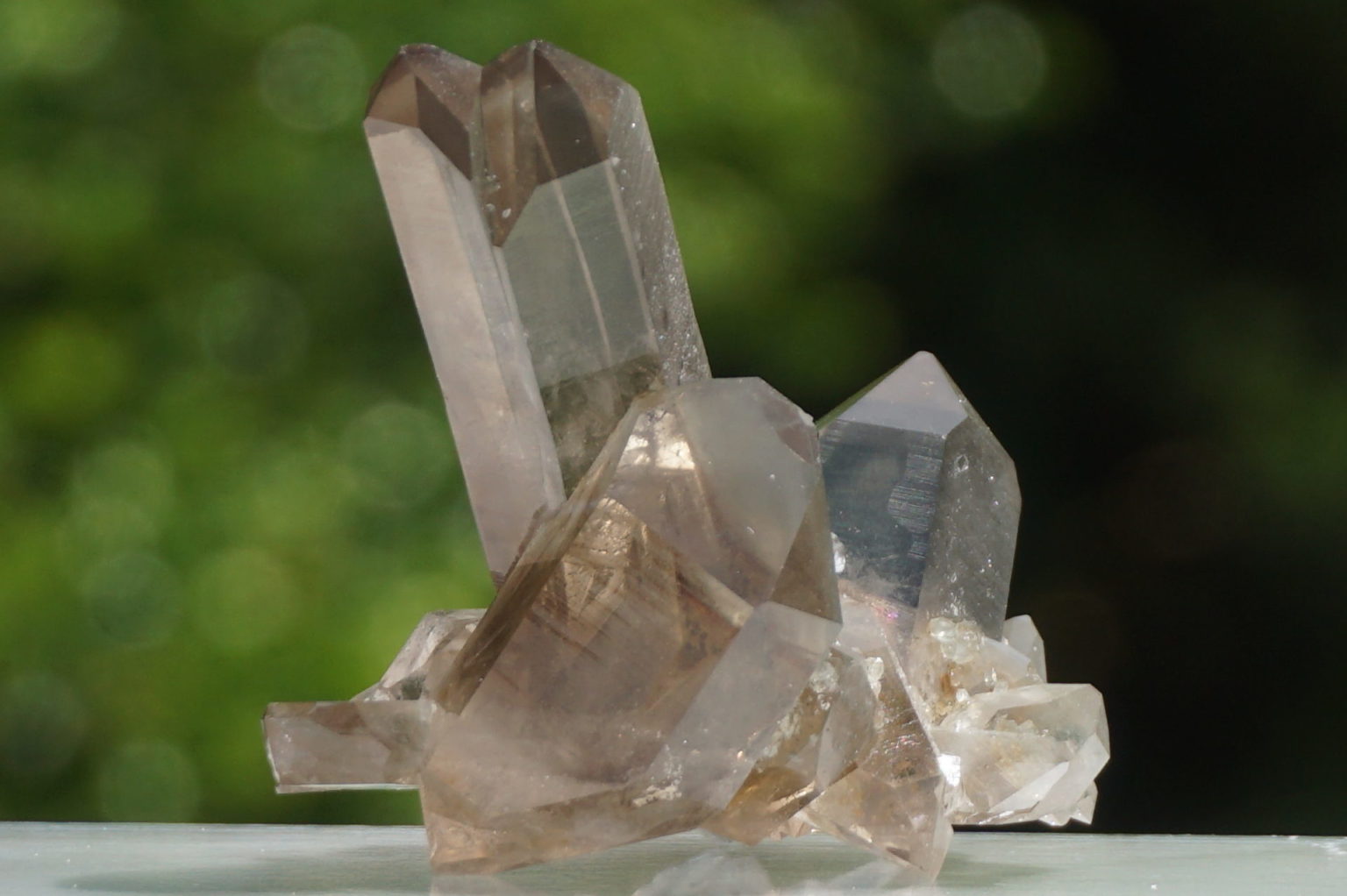 south-africa-smoky02