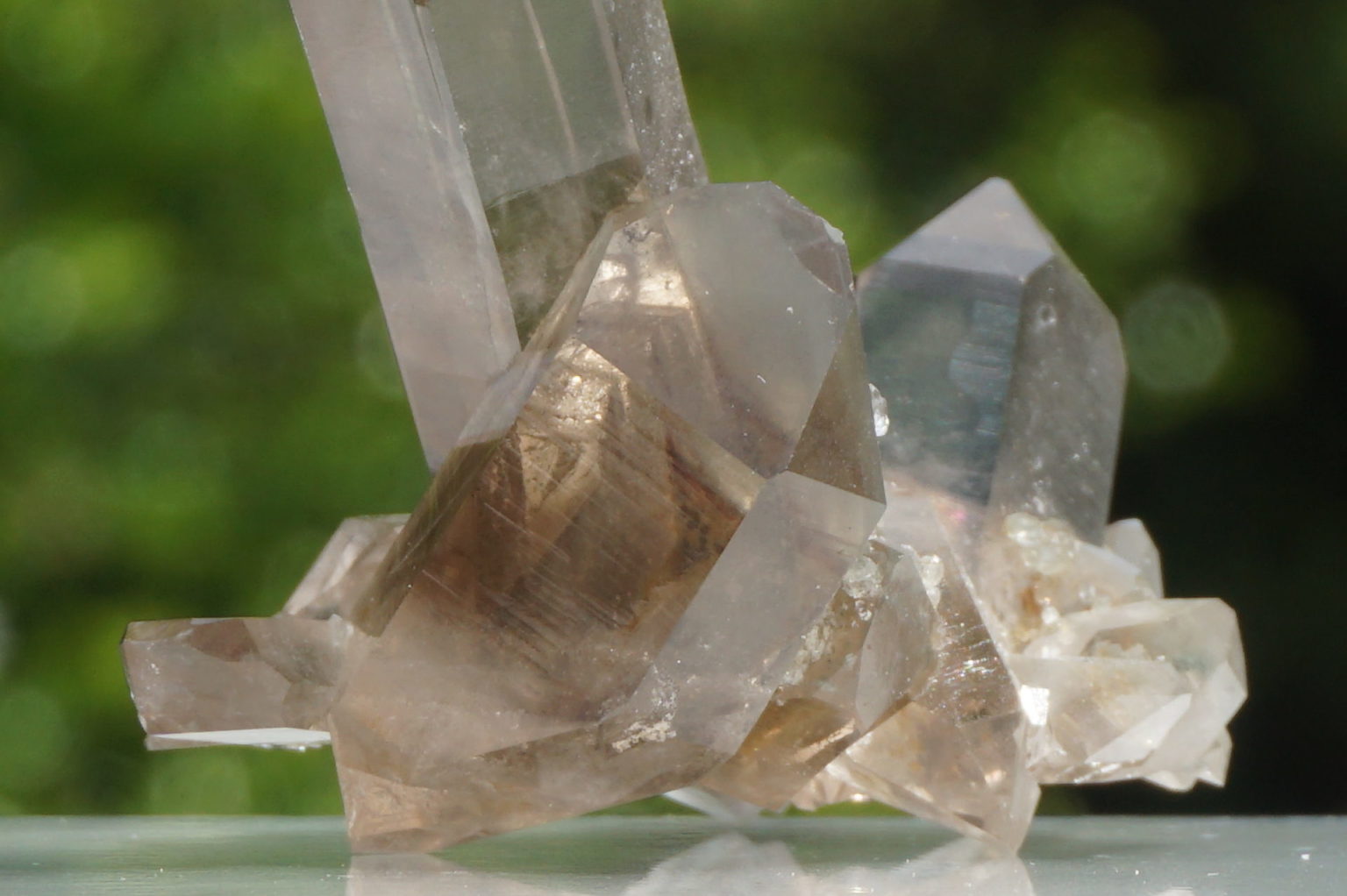 south-africa-smoky02