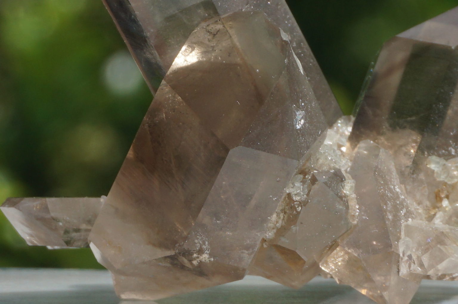 south-africa-smoky02