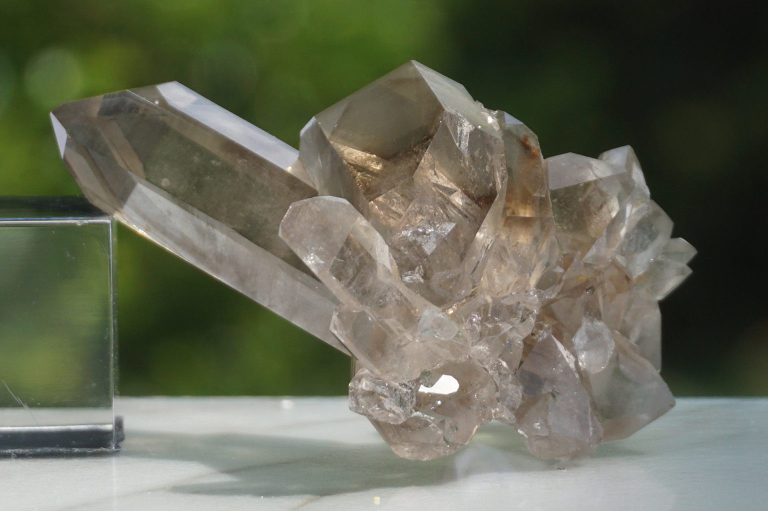 south-africa-smoky02