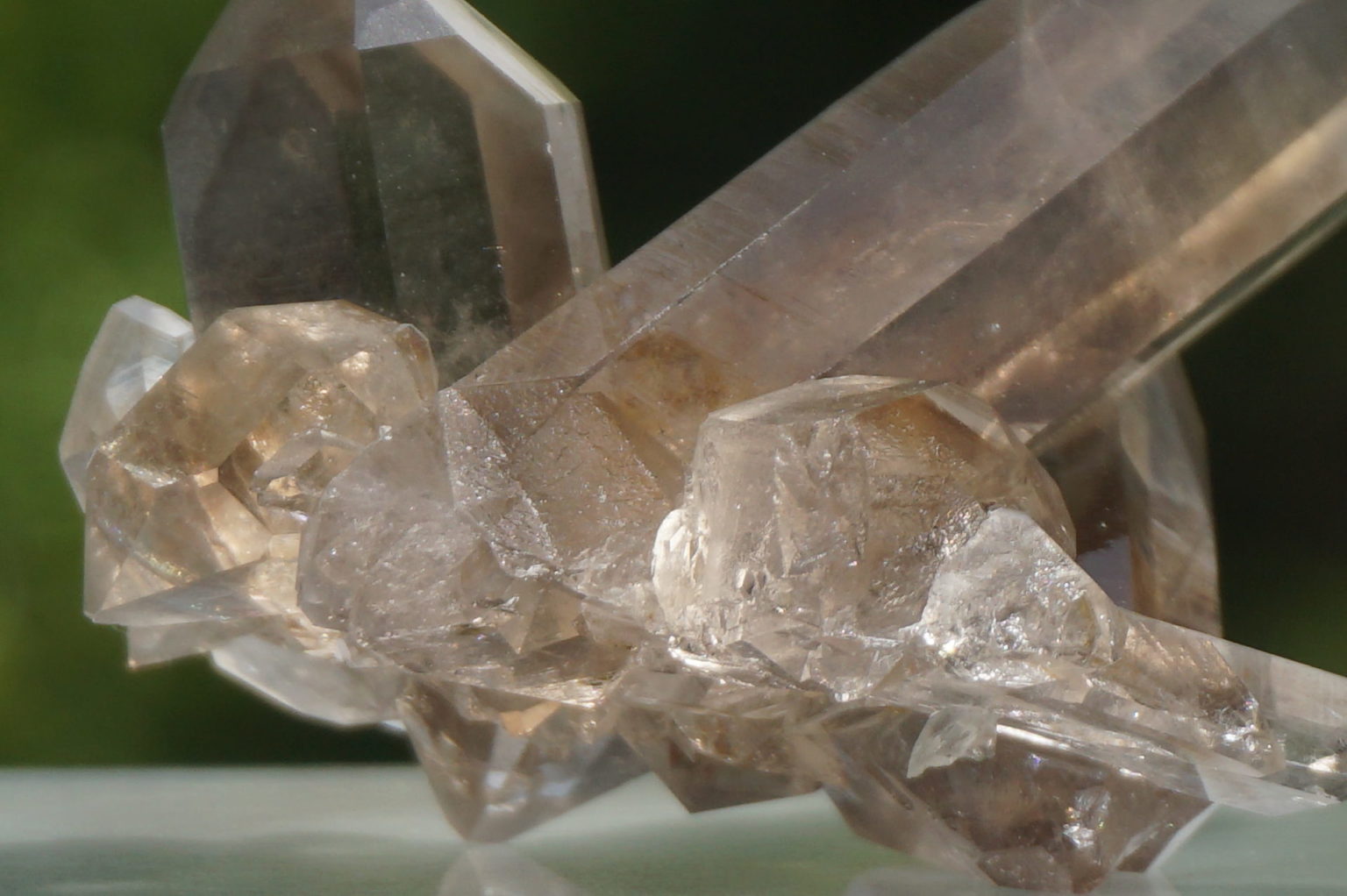 south-africa-smoky02