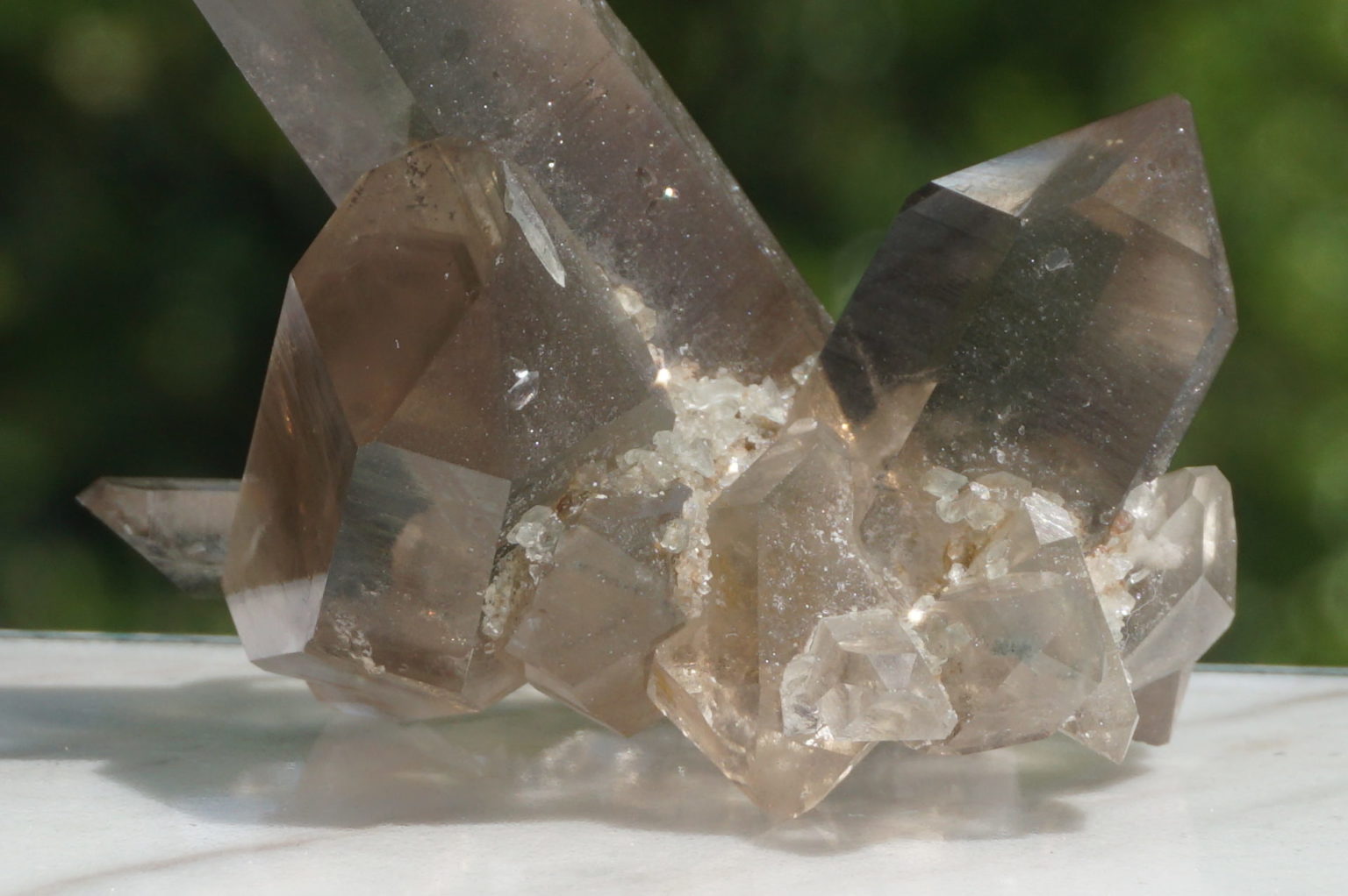 south-africa-smoky02