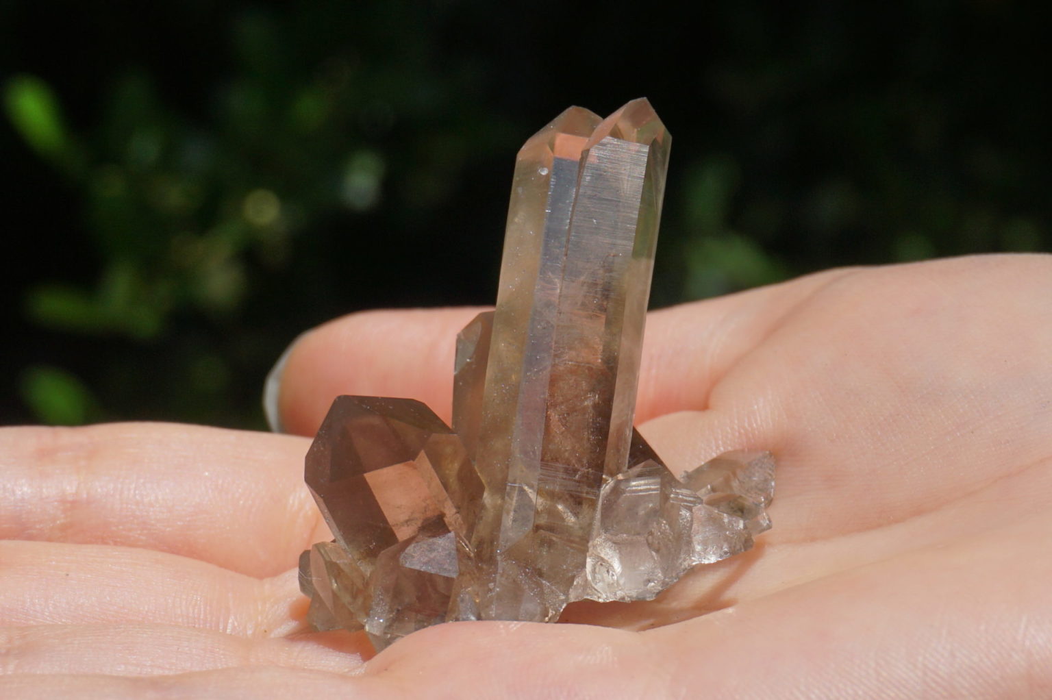 south-africa-smoky02