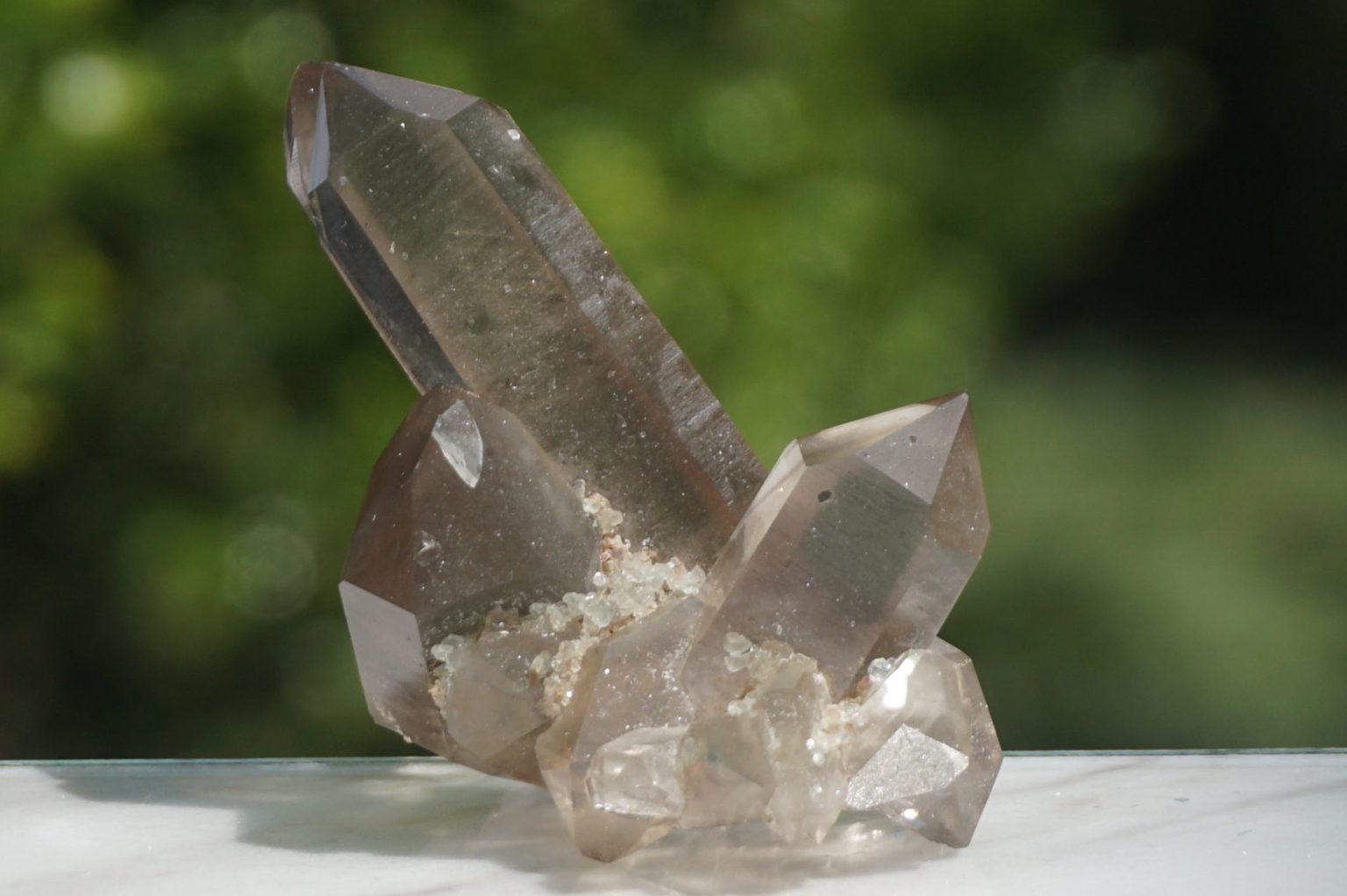 south-africa-smoky02