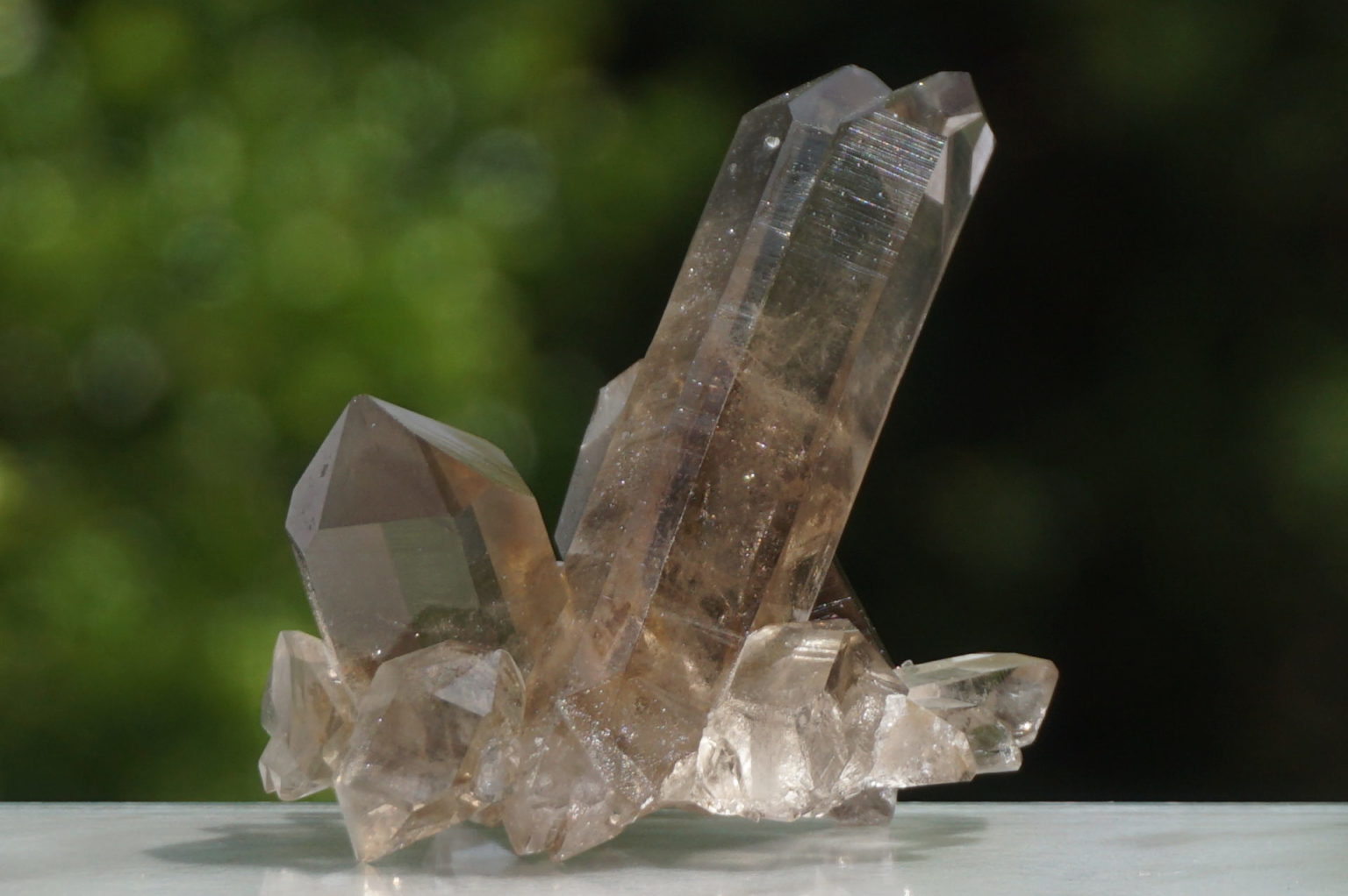 south-africa-smoky02