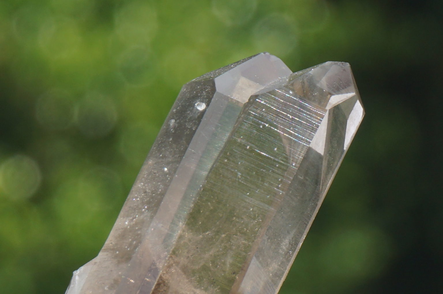 south-africa-smoky02