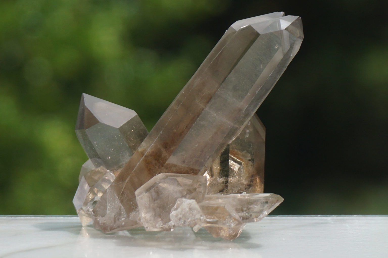 south-africa-smoky02