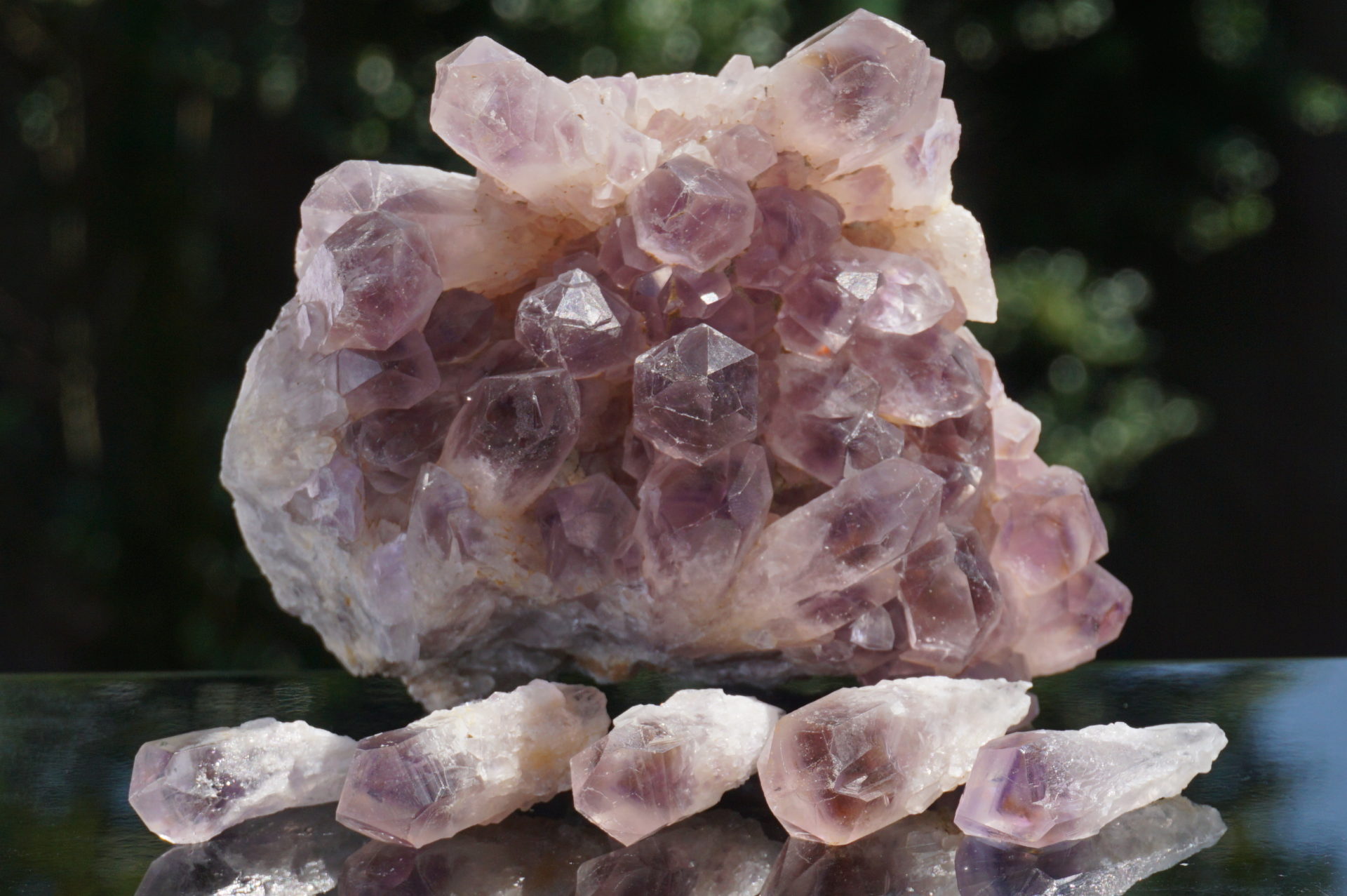 実店舗7周年記念：期間限定スペシャルプライス企画（番外編）