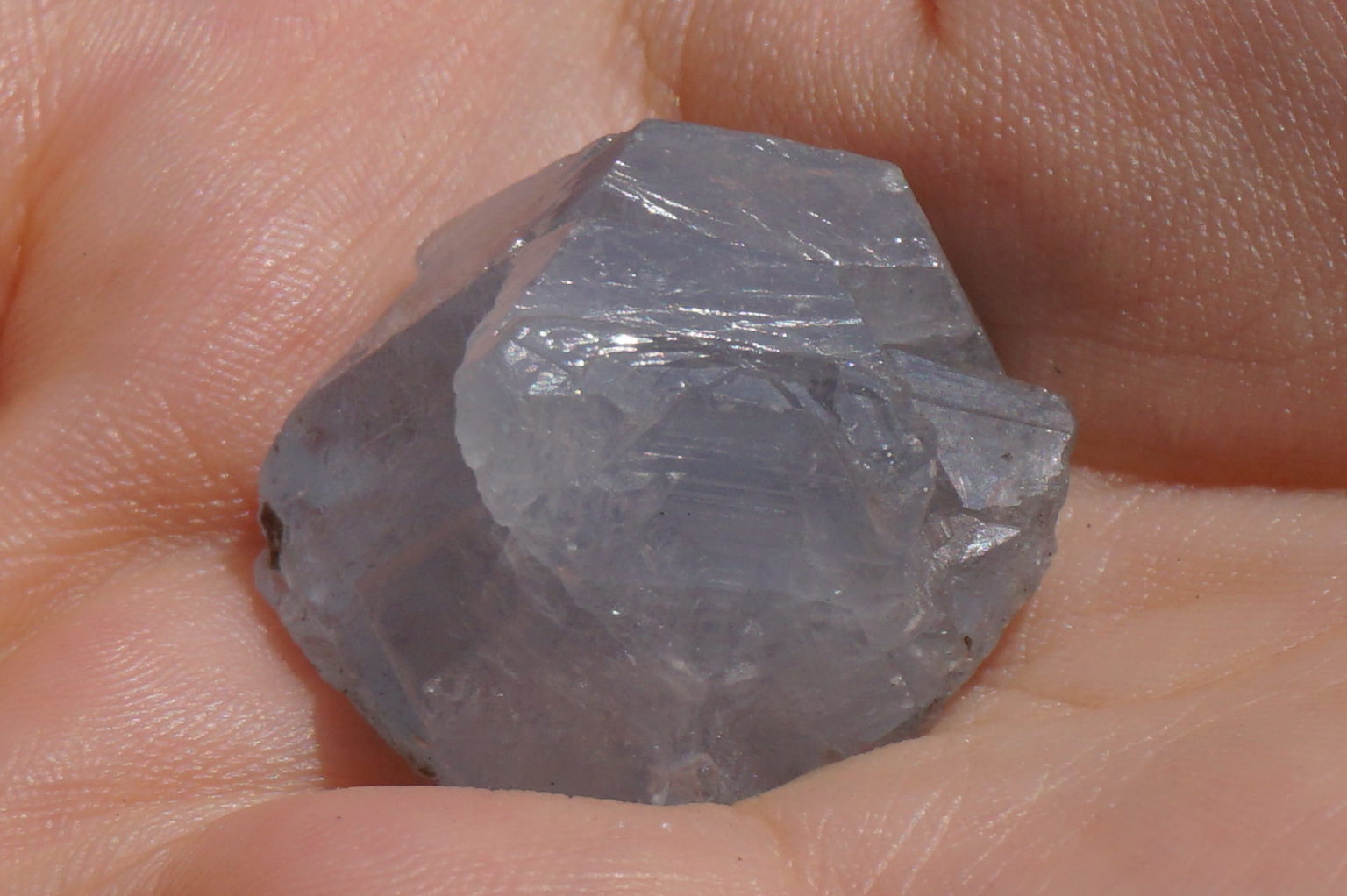 celestite31